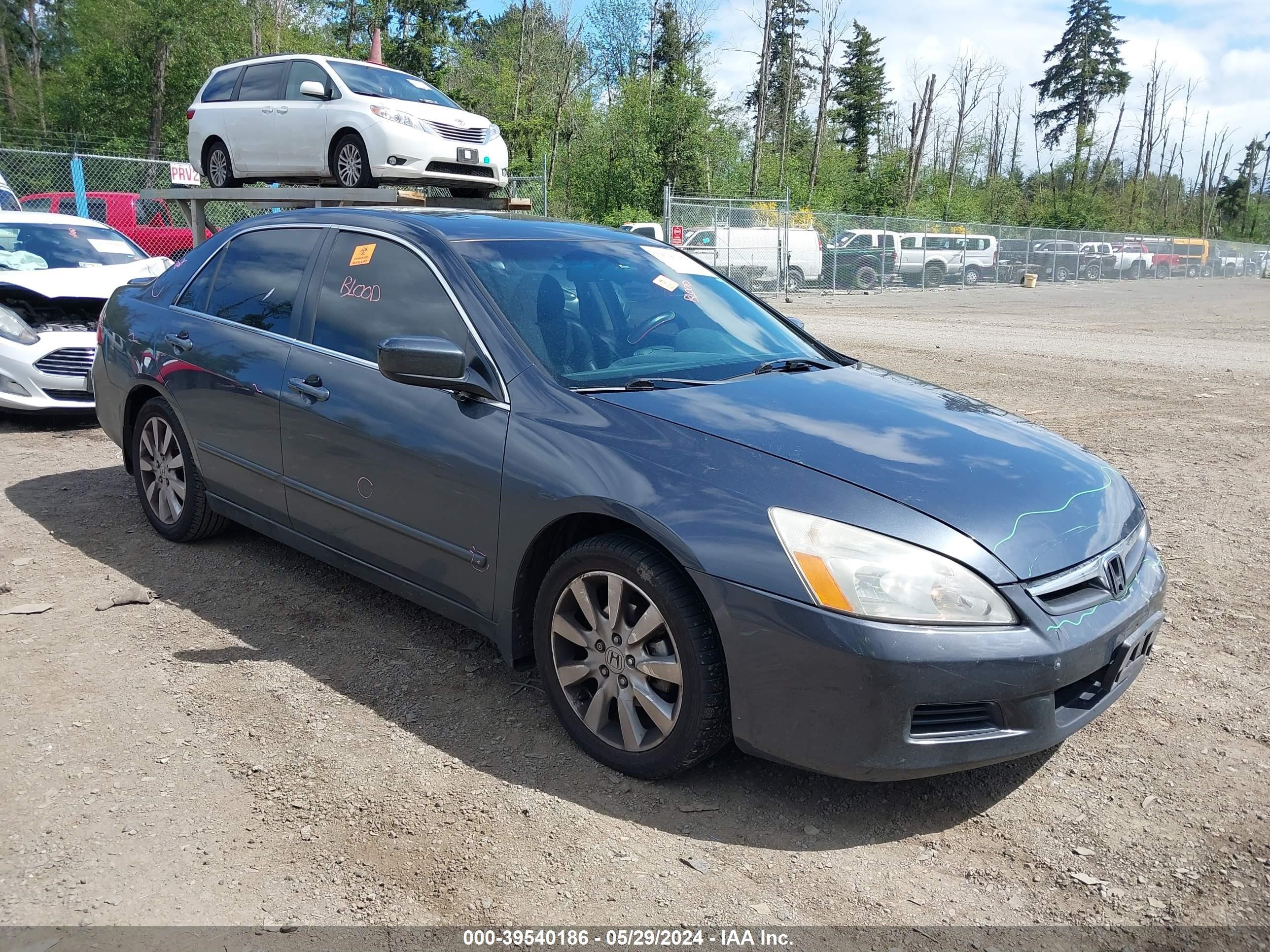 Photo 0 VIN: 1HGCM66567A076853 - HONDA ACCORD 