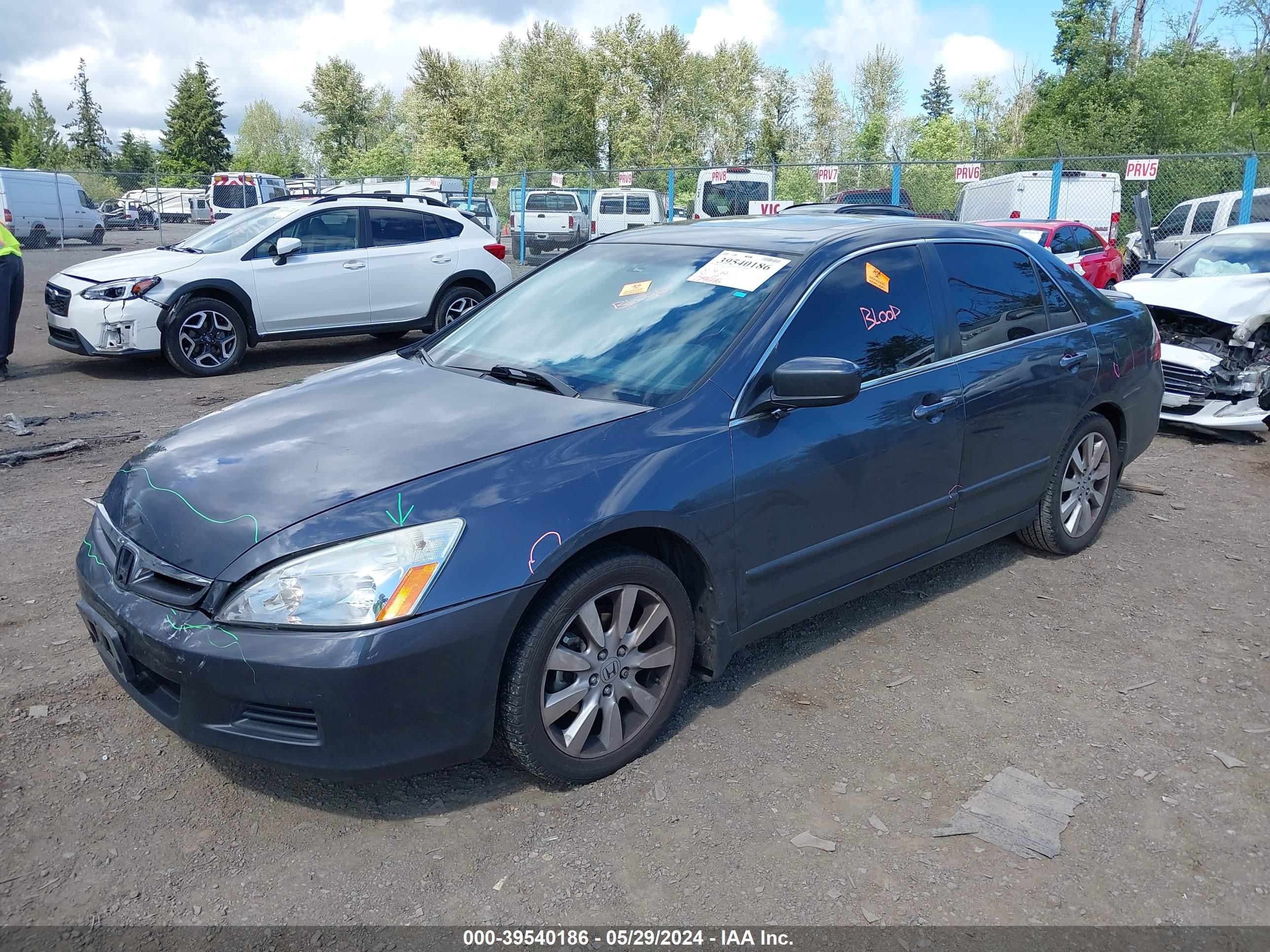 Photo 1 VIN: 1HGCM66567A076853 - HONDA ACCORD 