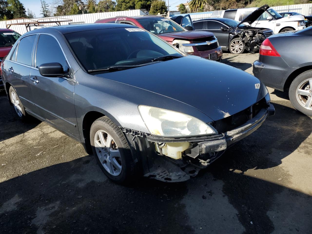 Photo 3 VIN: 1HGCM66575A014892 - HONDA ACCORD 