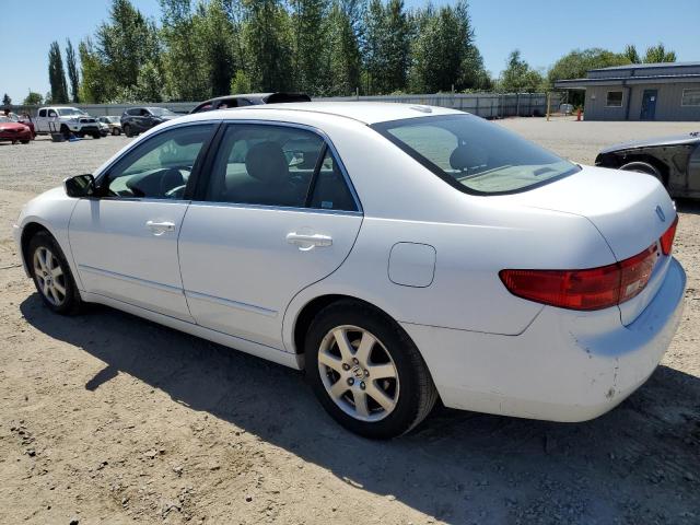 Photo 1 VIN: 1HGCM66575A019378 - HONDA ACCORD 