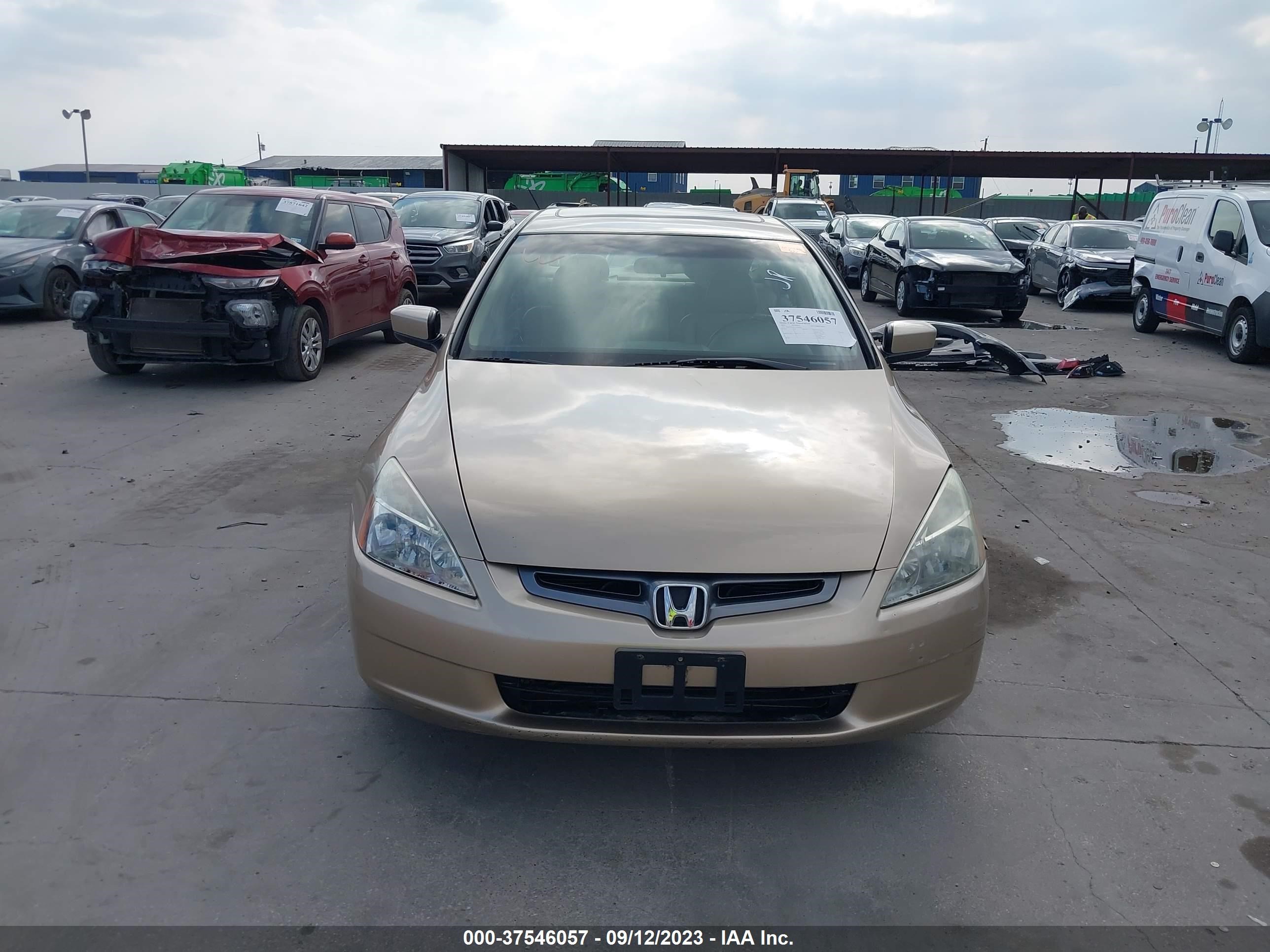 Photo 11 VIN: 1HGCM66575A057841 - HONDA ACCORD 