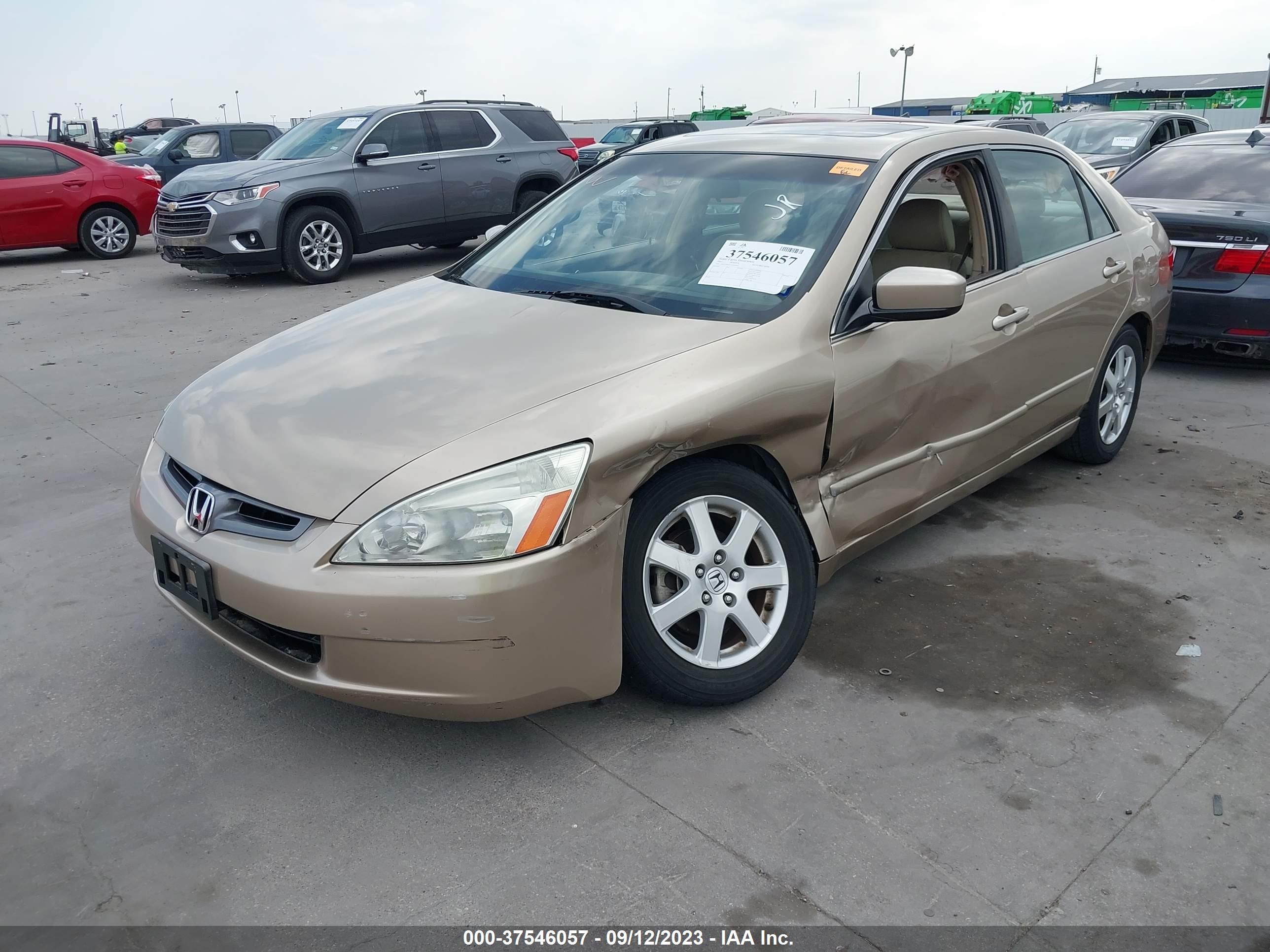 Photo 5 VIN: 1HGCM66575A057841 - HONDA ACCORD 