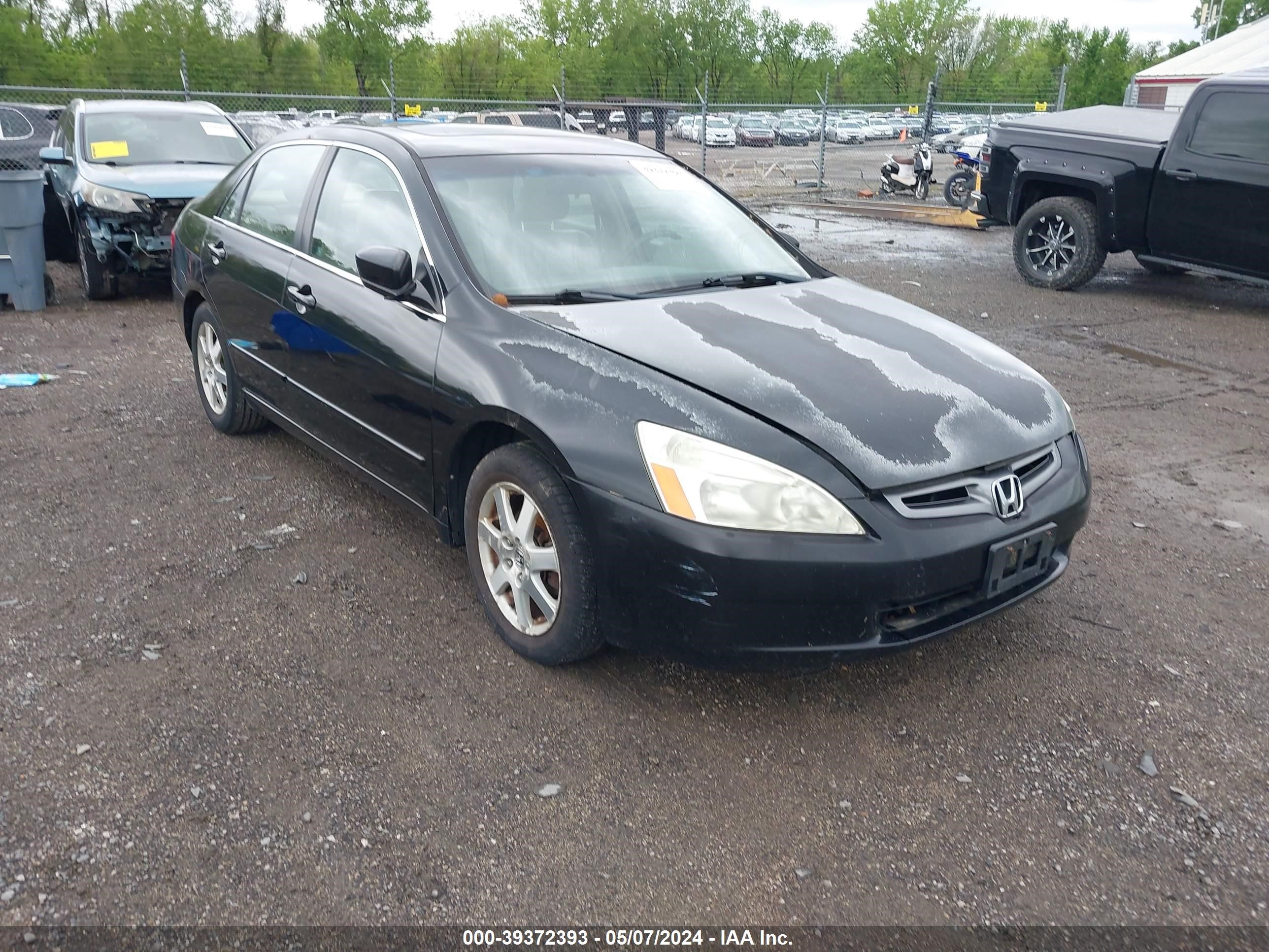 Photo 0 VIN: 1HGCM66585A076379 - HONDA ACCORD 