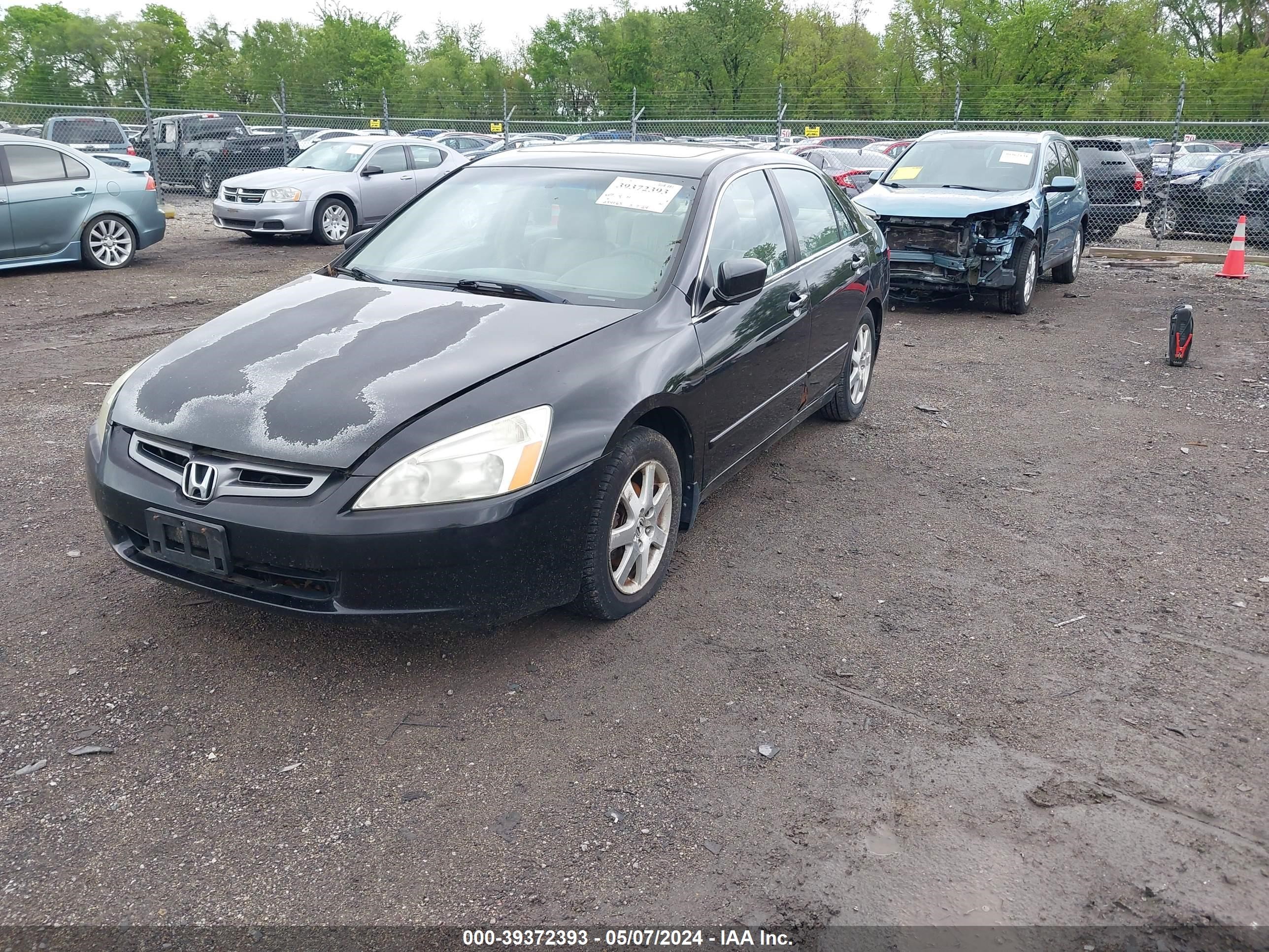 Photo 1 VIN: 1HGCM66585A076379 - HONDA ACCORD 