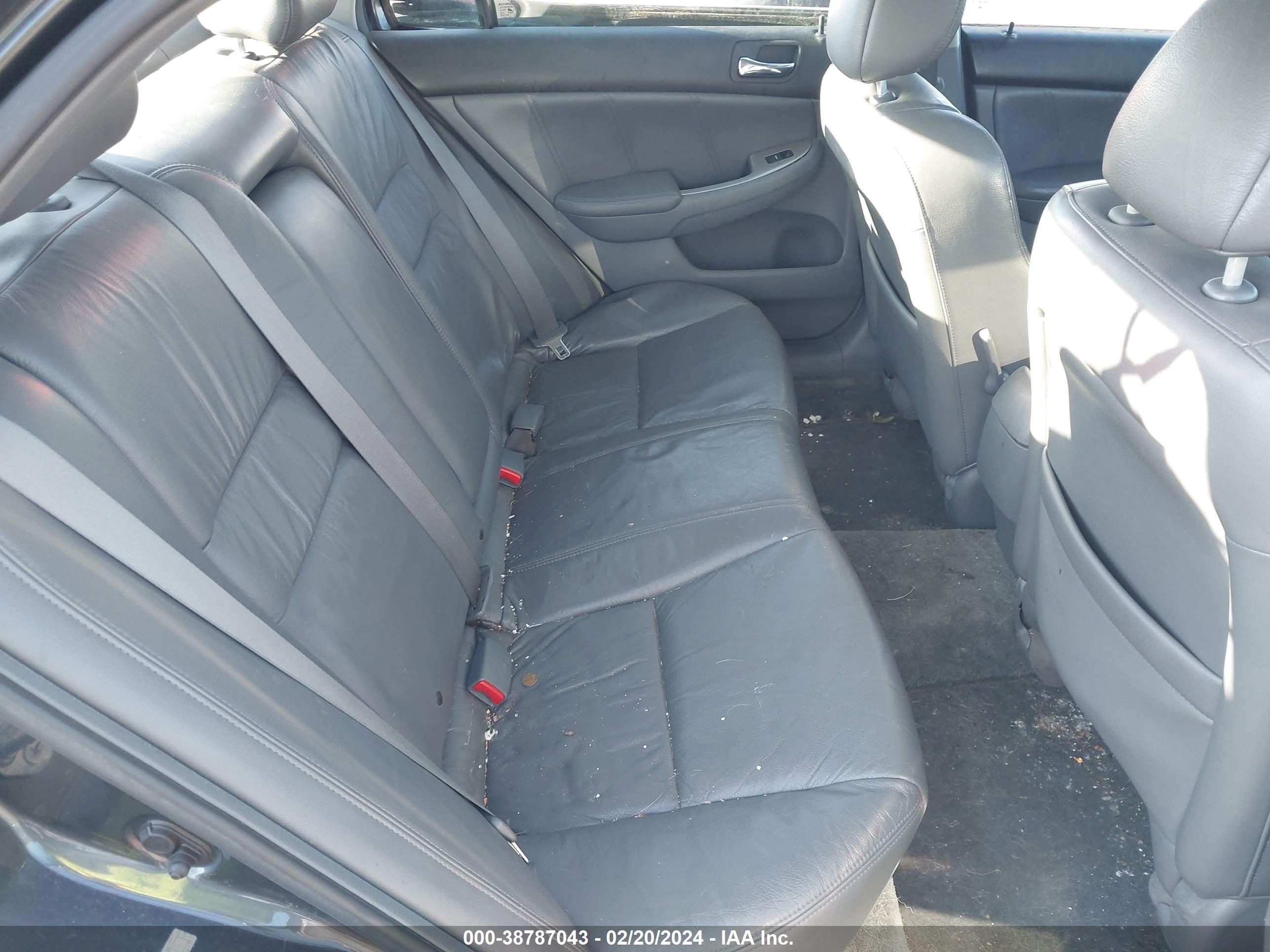 Photo 7 VIN: 1HGCM66587A014628 - HONDA ACCORD 