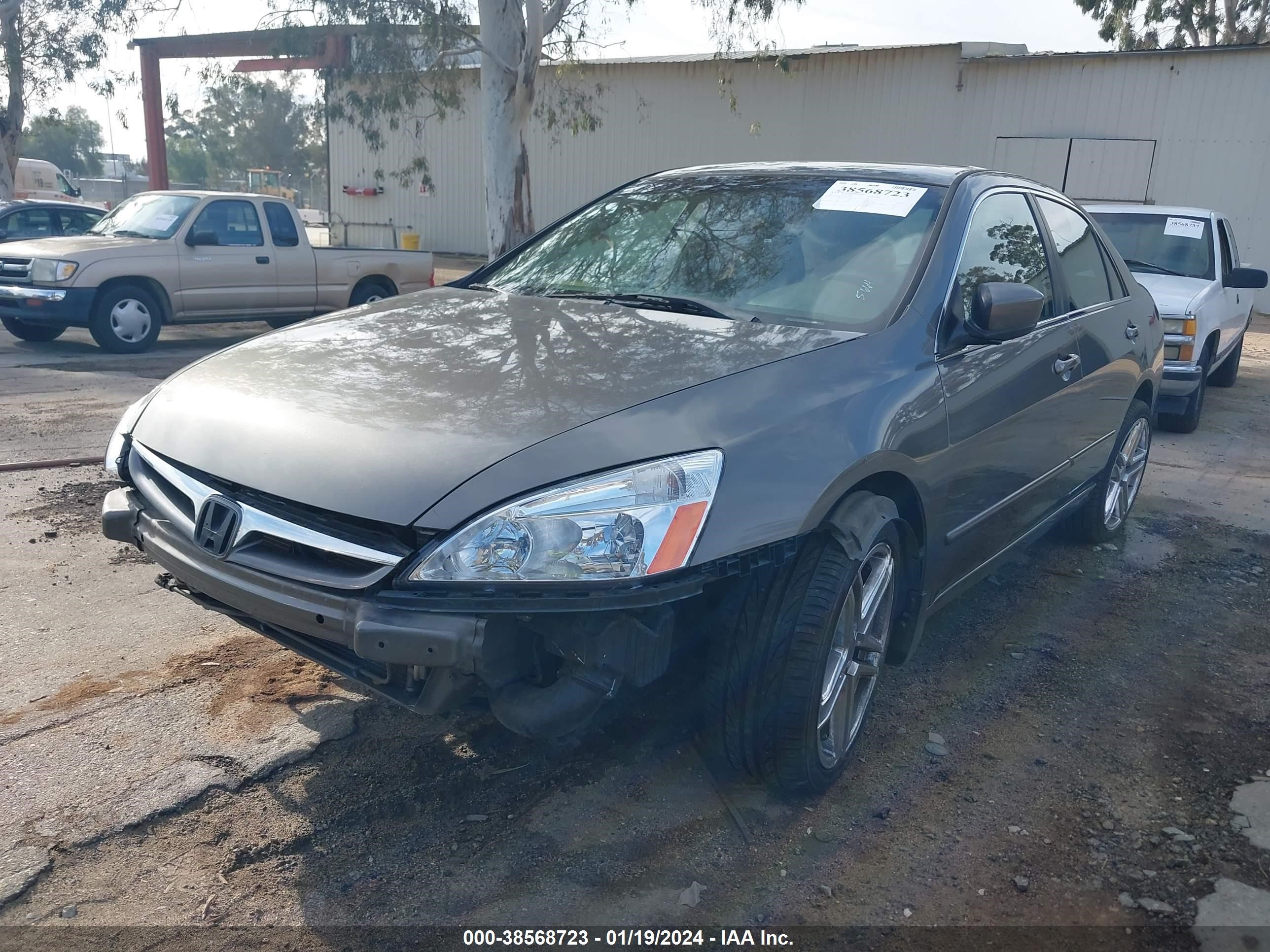 Photo 1 VIN: 1HGCM66587A055664 - HONDA ACCORD 