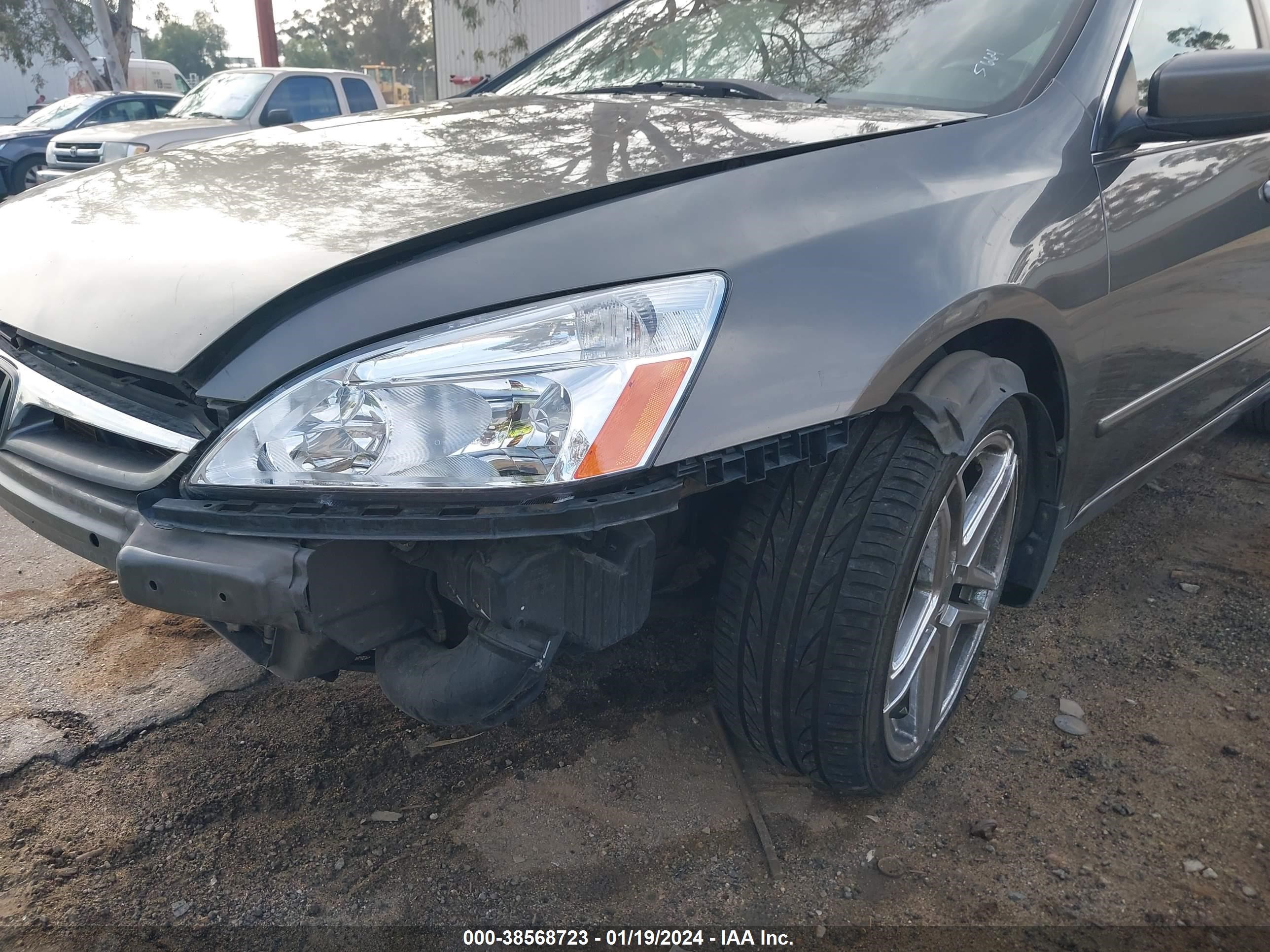 Photo 5 VIN: 1HGCM66587A055664 - HONDA ACCORD 