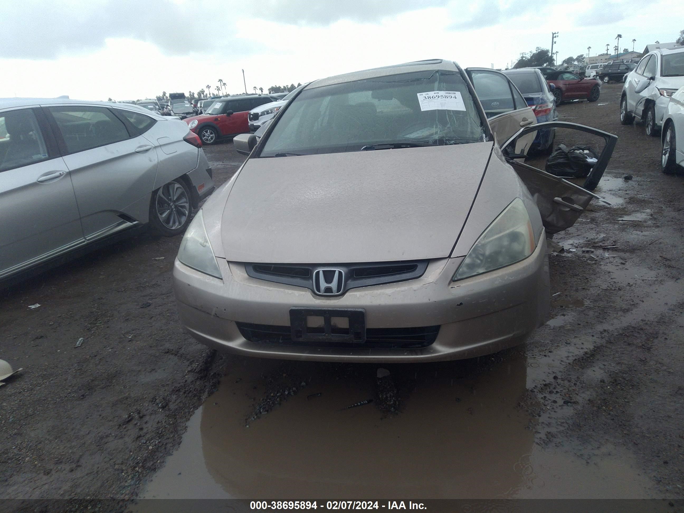 Photo 12 VIN: 1HGCM66595A041317 - HONDA ACCORD 