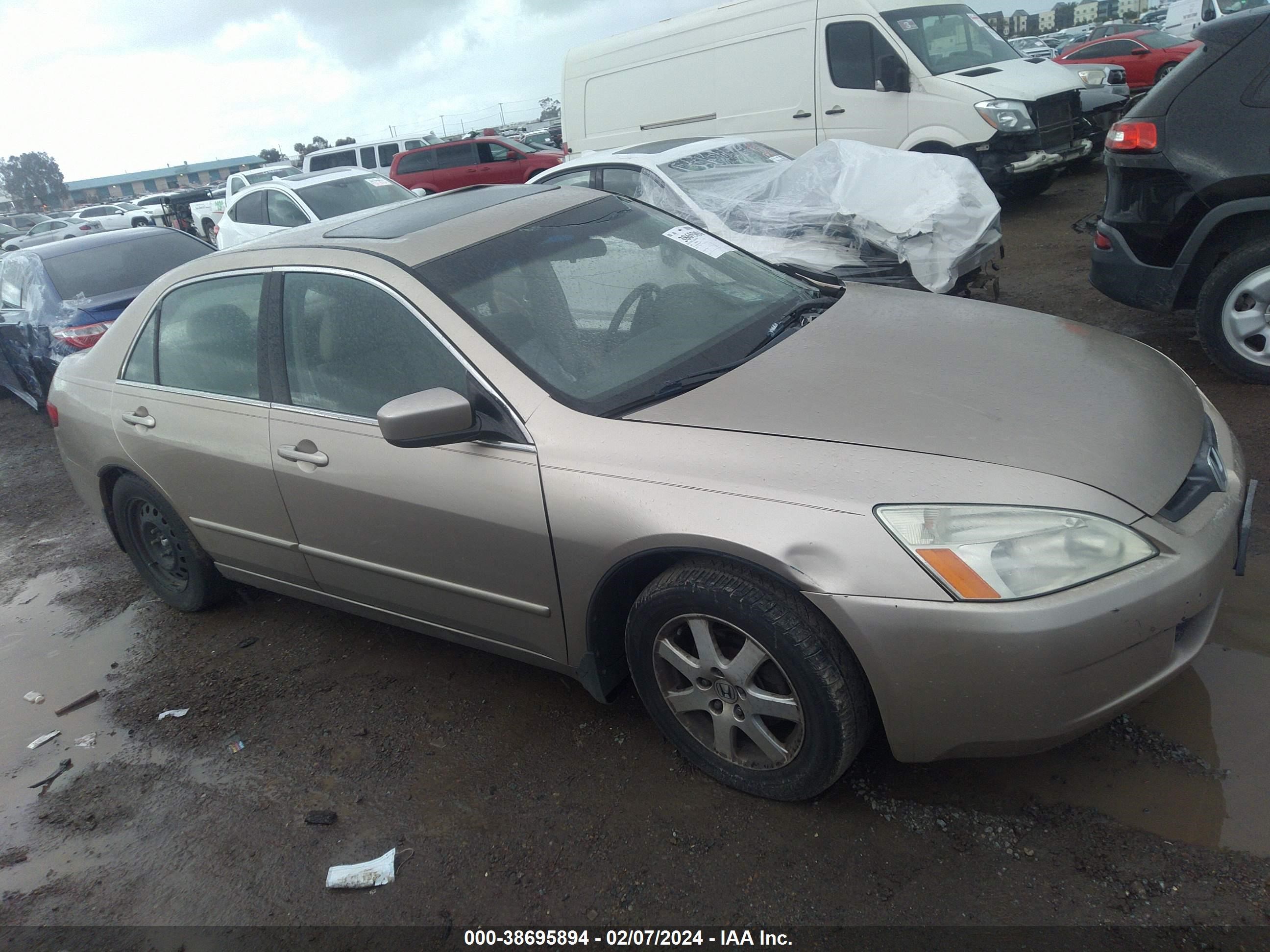 Photo 13 VIN: 1HGCM66595A041317 - HONDA ACCORD 