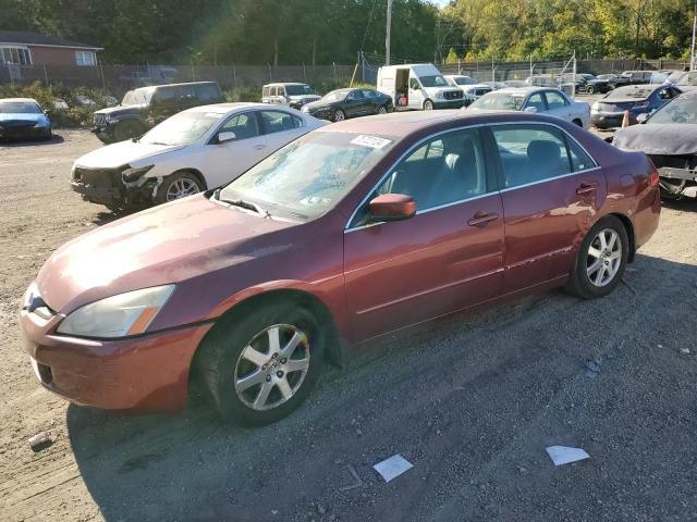 Photo 0 VIN: 1HGCM66595A066525 - HONDA ACCORD EX 