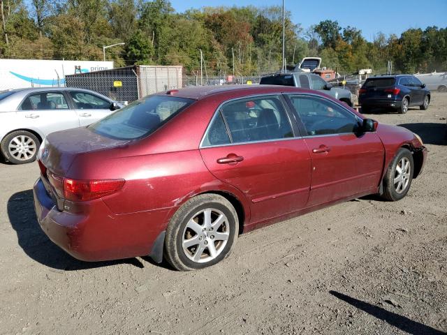 Photo 2 VIN: 1HGCM66595A066525 - HONDA ACCORD EX 