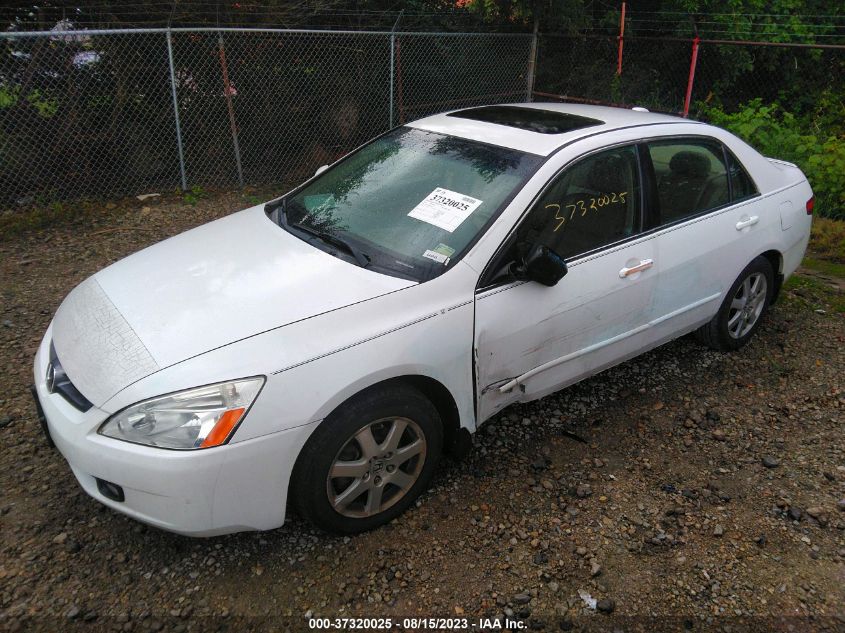 Photo 1 VIN: 1HGCM665X5A010772 - HONDA ACCORD 