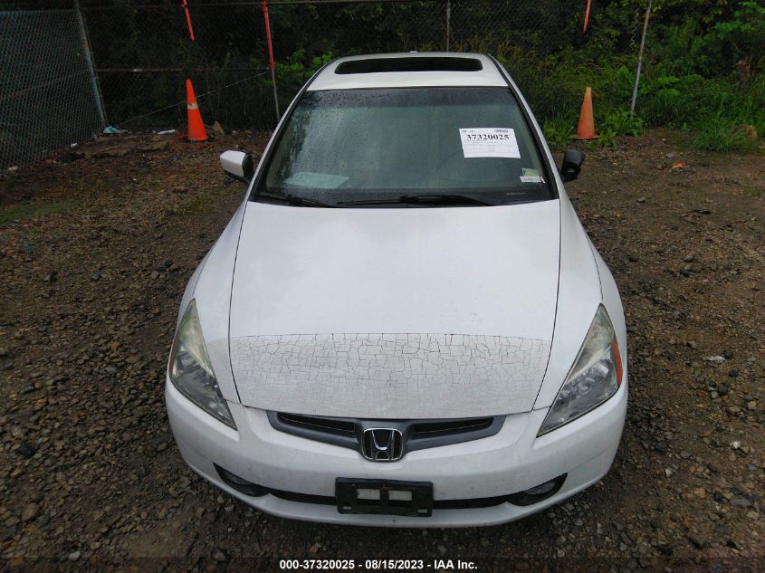 Photo 11 VIN: 1HGCM665X5A010772 - HONDA ACCORD 