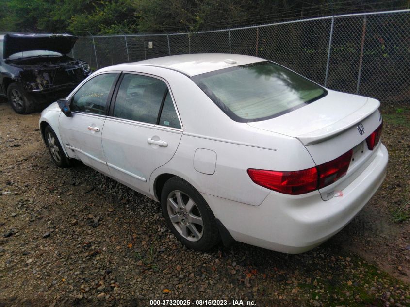 Photo 2 VIN: 1HGCM665X5A010772 - HONDA ACCORD 