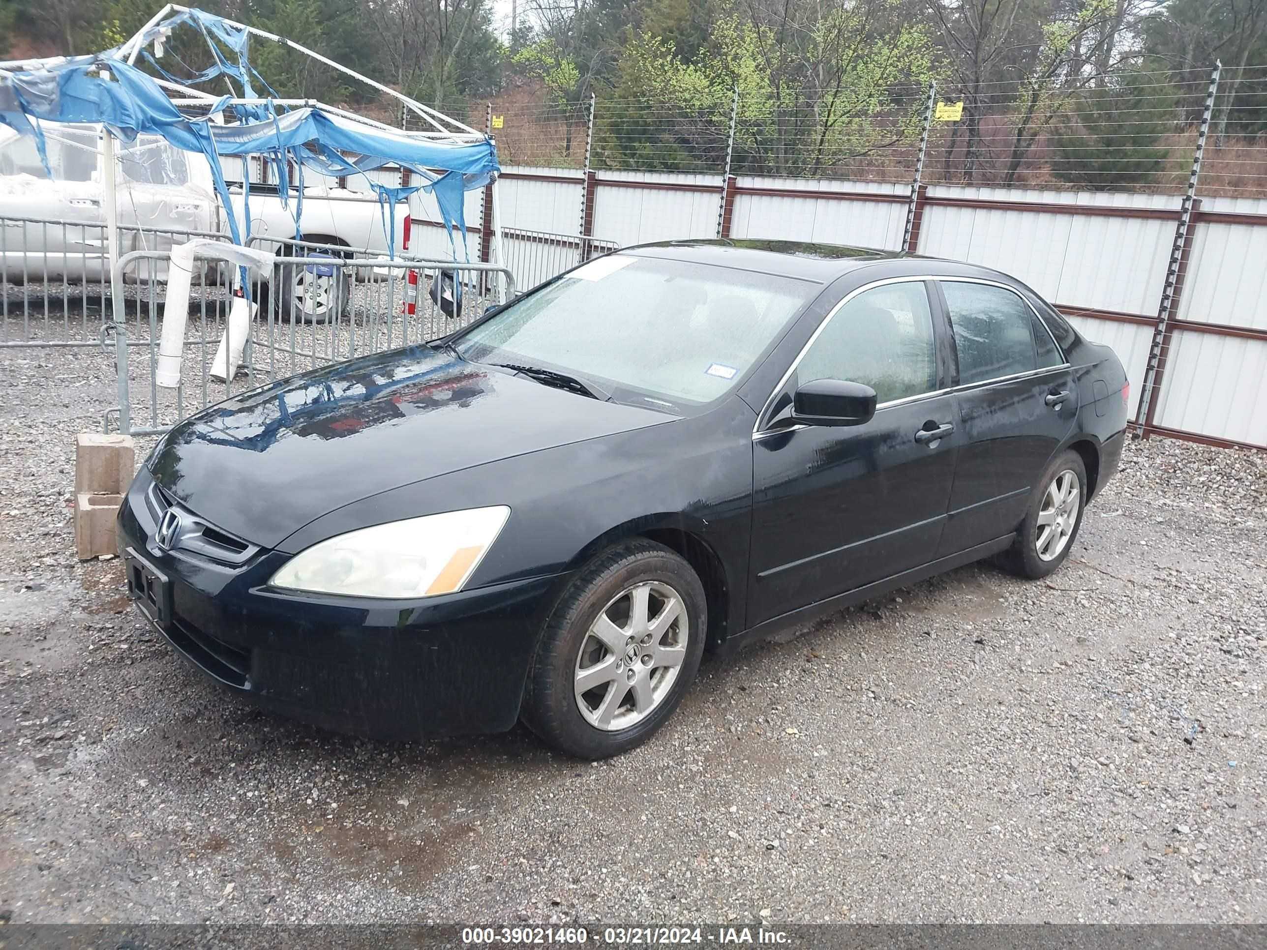 Photo 1 VIN: 1HGCM665X5A016376 - HONDA ACCORD 