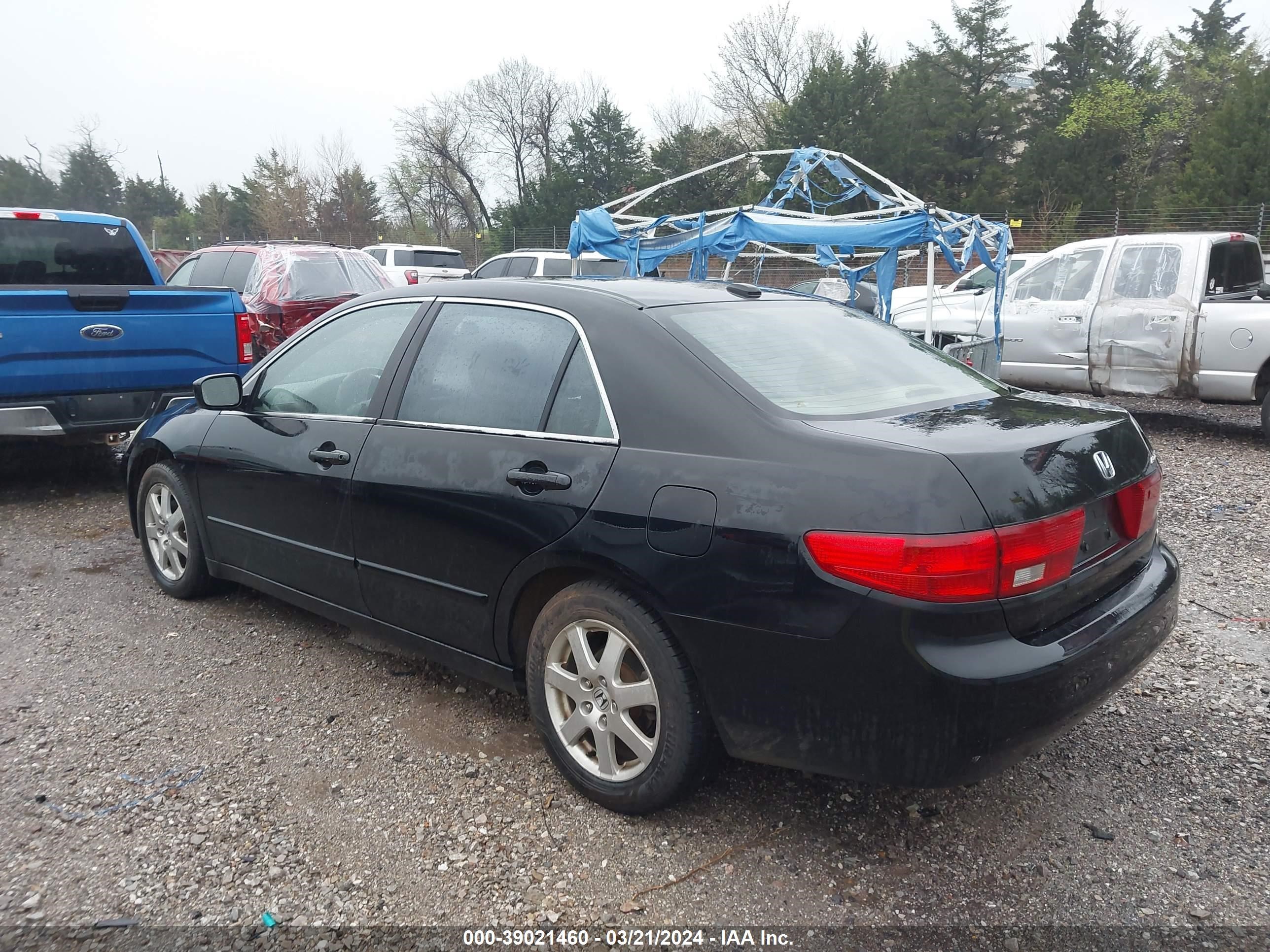 Photo 2 VIN: 1HGCM665X5A016376 - HONDA ACCORD 