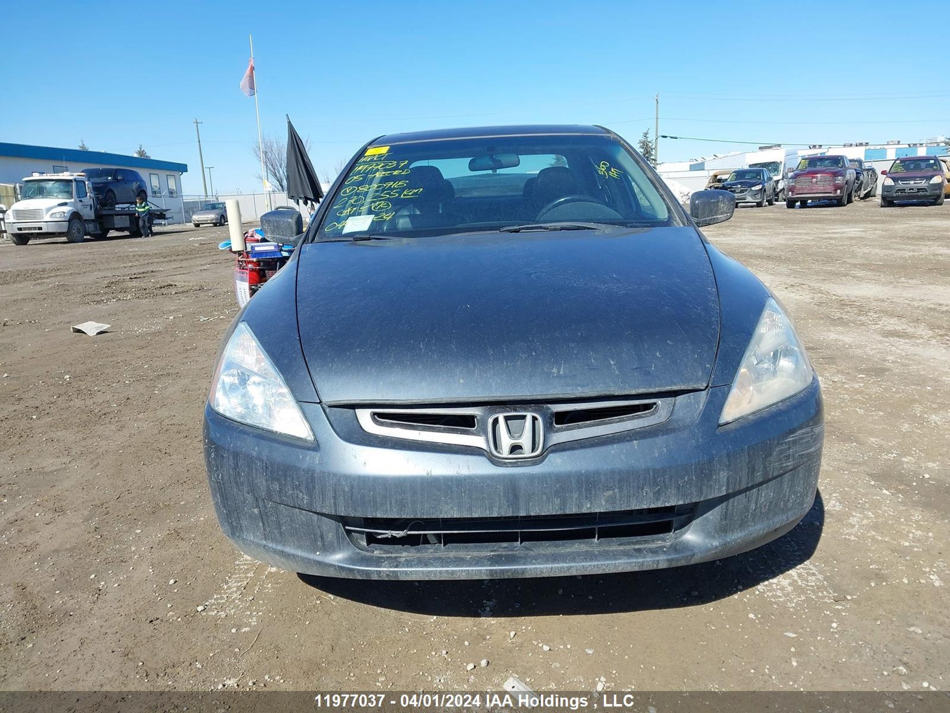 Photo 11 VIN: 1HGCM665X5A800718 - HONDA ACCORD 