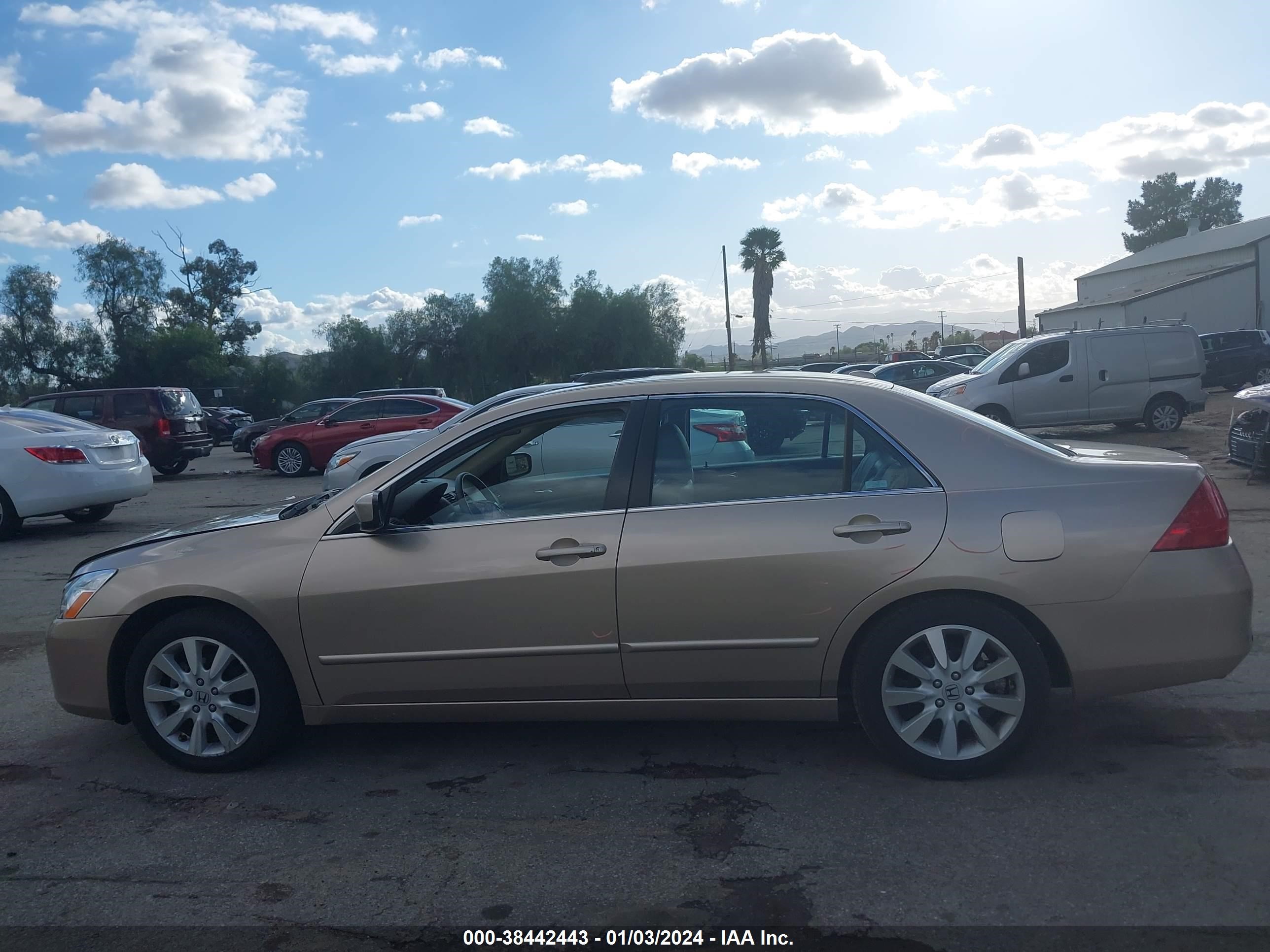 Photo 13 VIN: 1HGCM665X7A032631 - HONDA ACCORD 