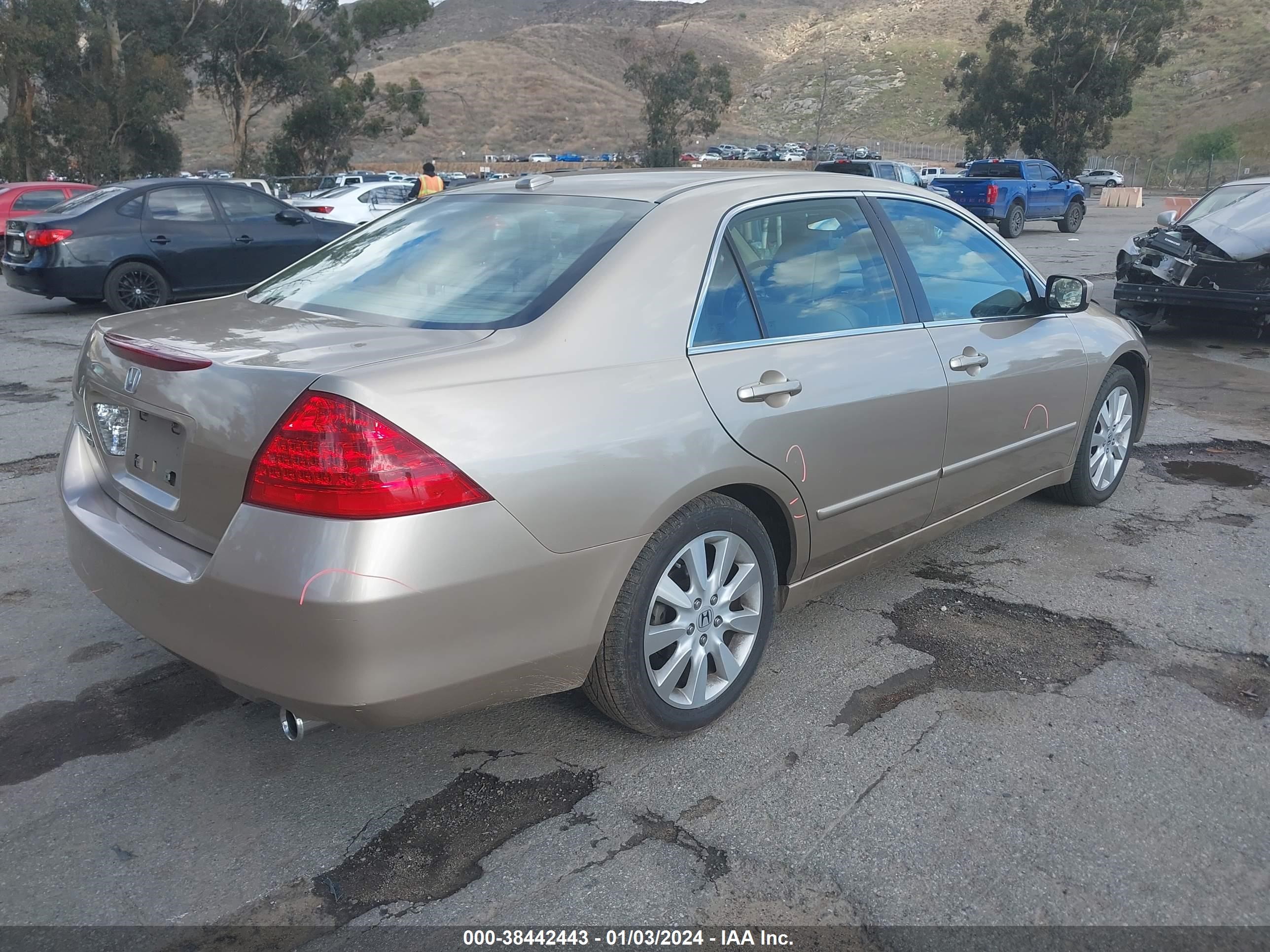 Photo 3 VIN: 1HGCM665X7A032631 - HONDA ACCORD 