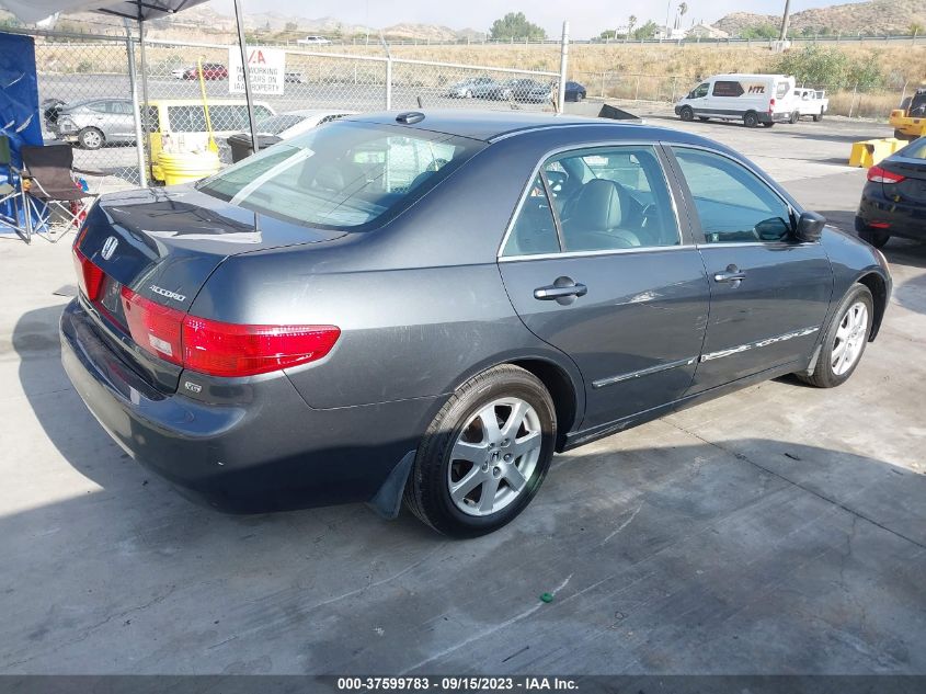 Photo 3 VIN: 1HGCM66835A071181 - HONDA ACCORD 