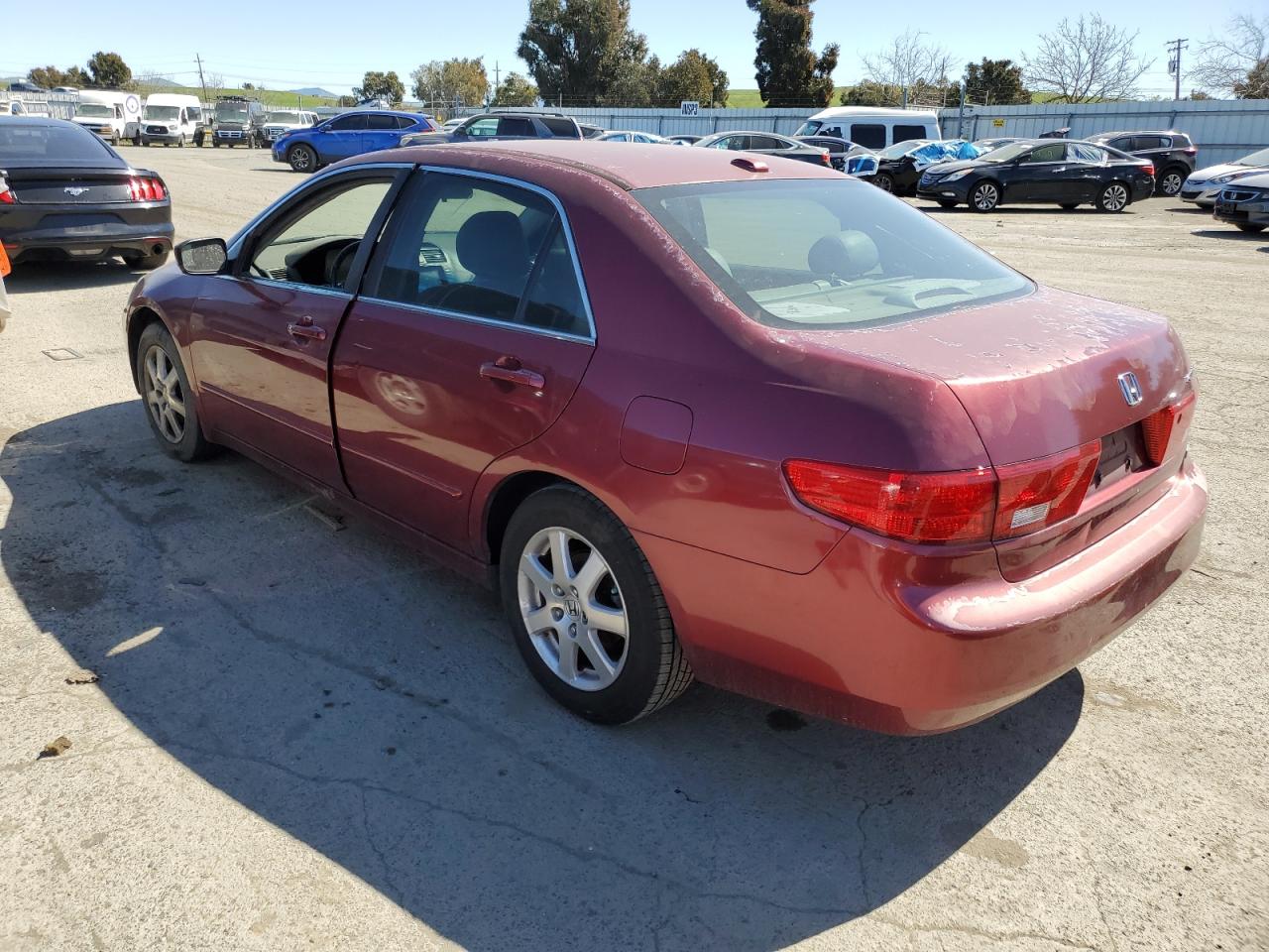 Photo 1 VIN: 1HGCM66865A063978 - HONDA ACCORD 