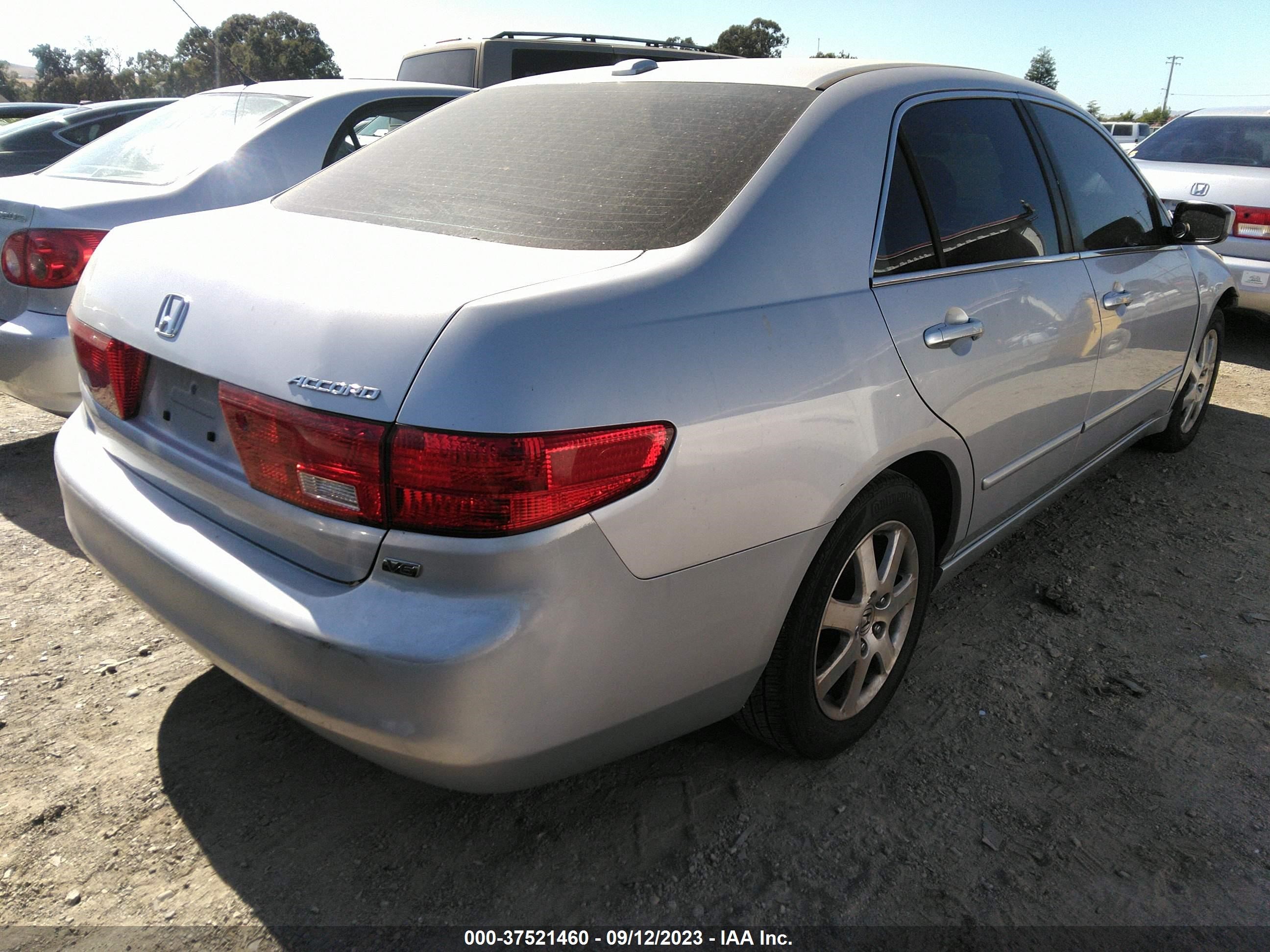 Photo 3 VIN: 1HGCM66885A008660 - HONDA ACCORD 