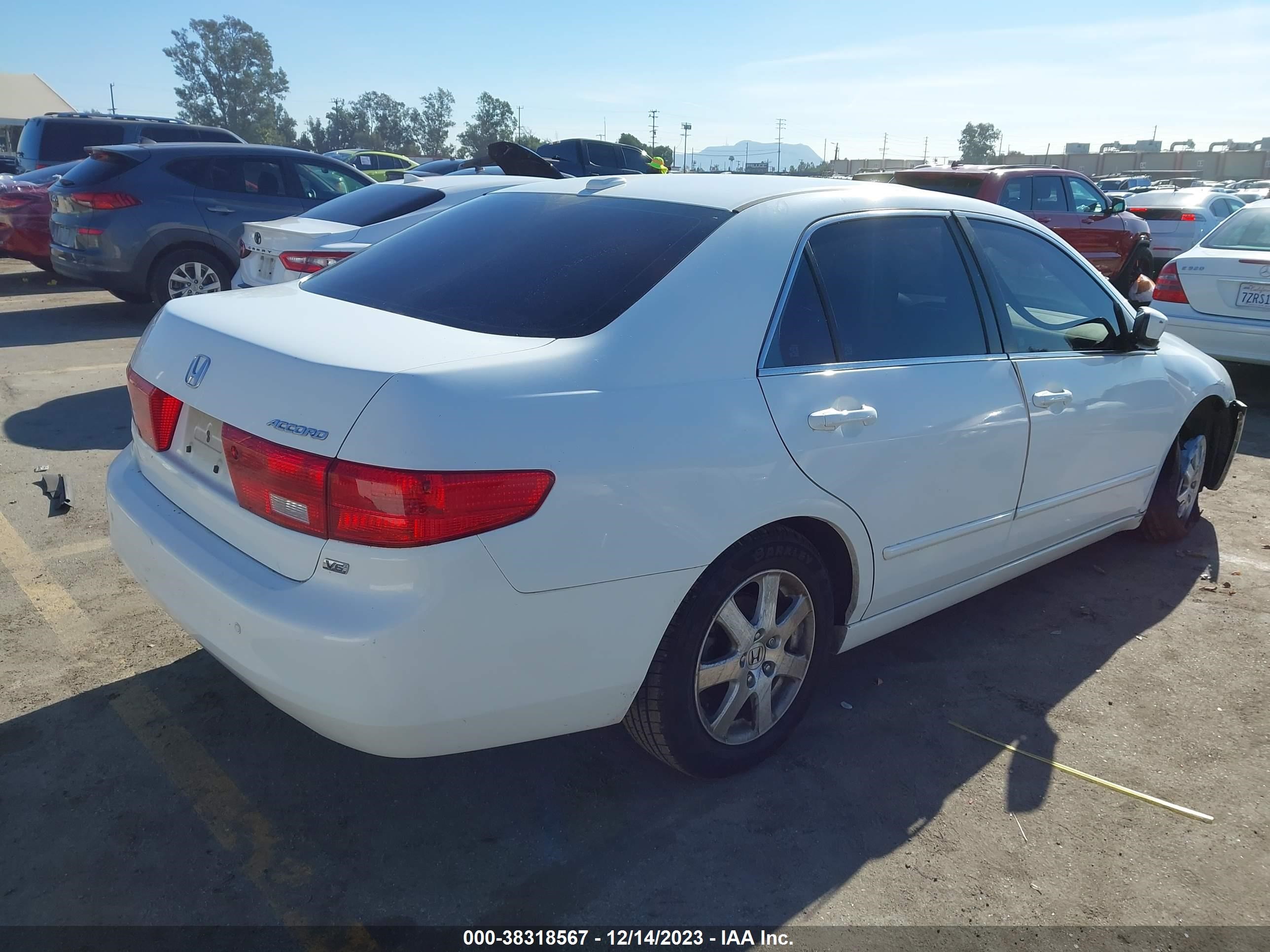 Photo 3 VIN: 1HGCM668X5A028456 - HONDA ACCORD 