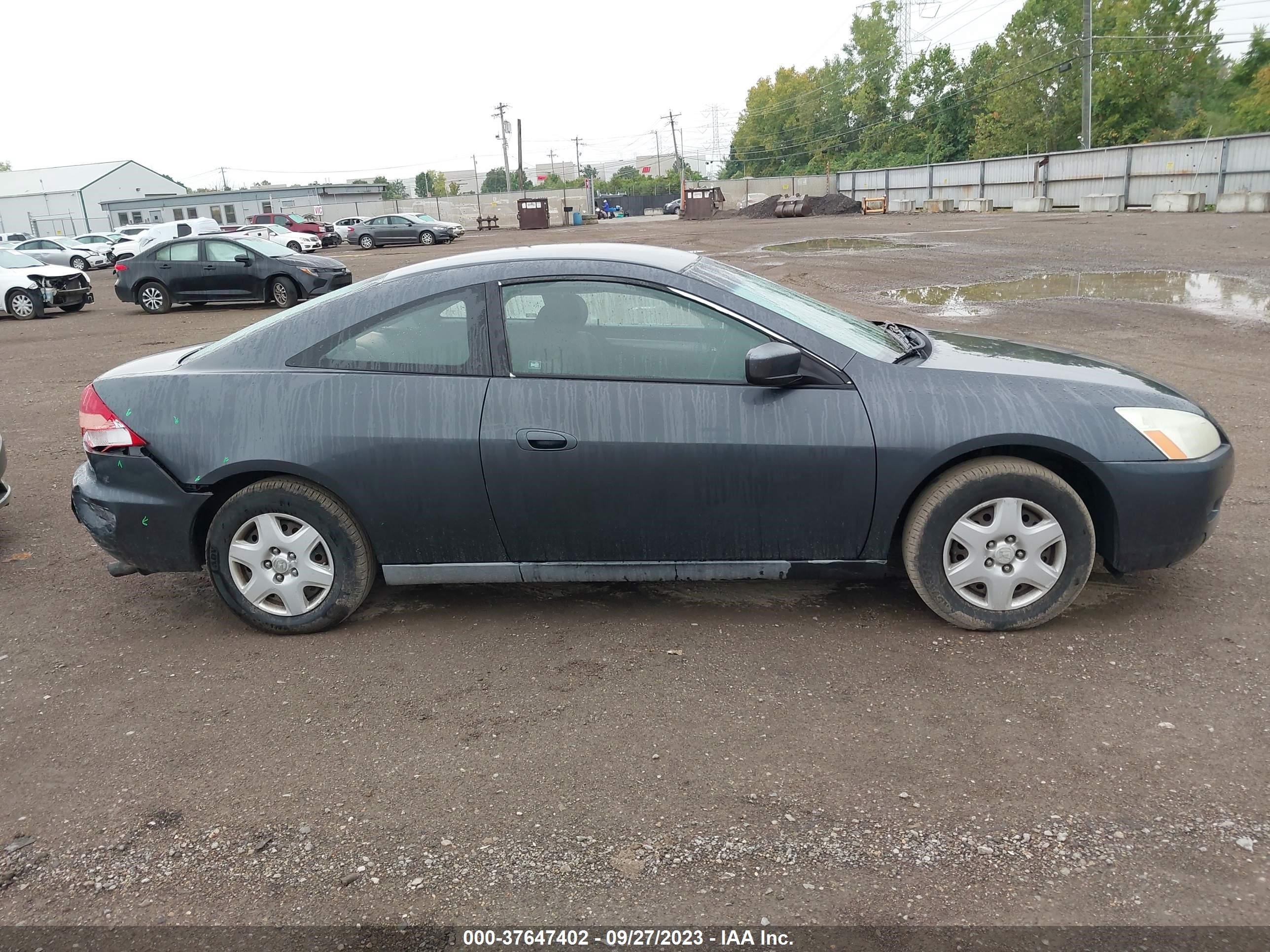 Photo 12 VIN: 1HGCM72395A008991 - HONDA ACCORD 