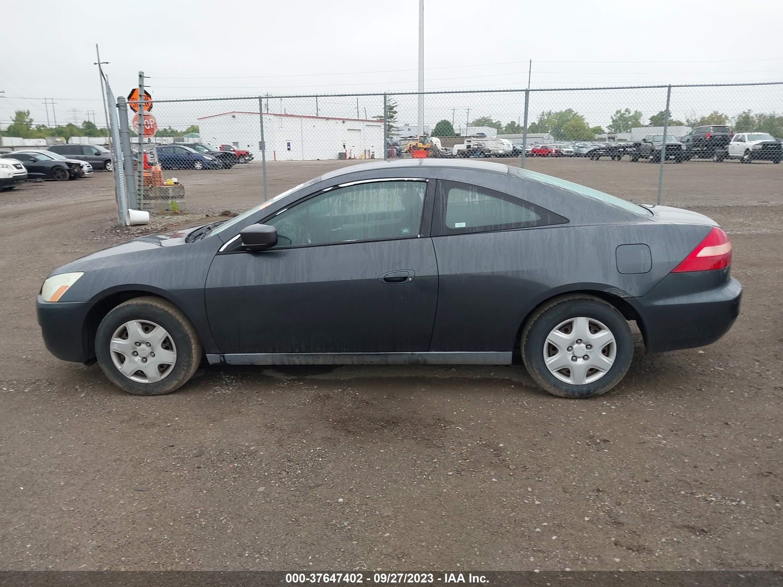 Photo 13 VIN: 1HGCM72395A008991 - HONDA ACCORD 