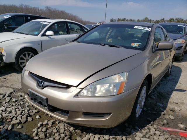 Photo 1 VIN: 1HGCM82613A017875 - HONDA ACCORD 