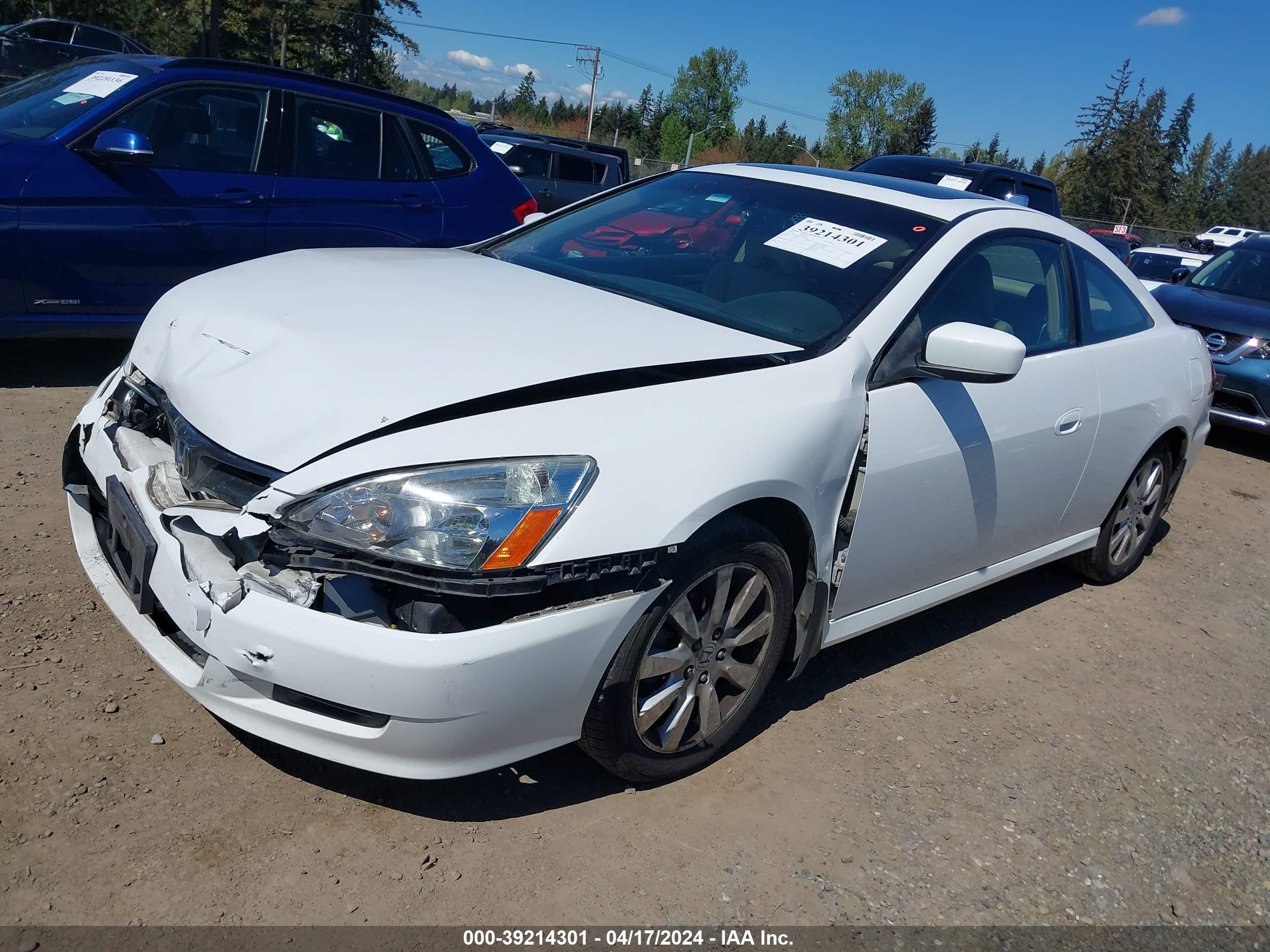 Photo 1 VIN: 1HGCM82637A000954 - HONDA ACCORD 