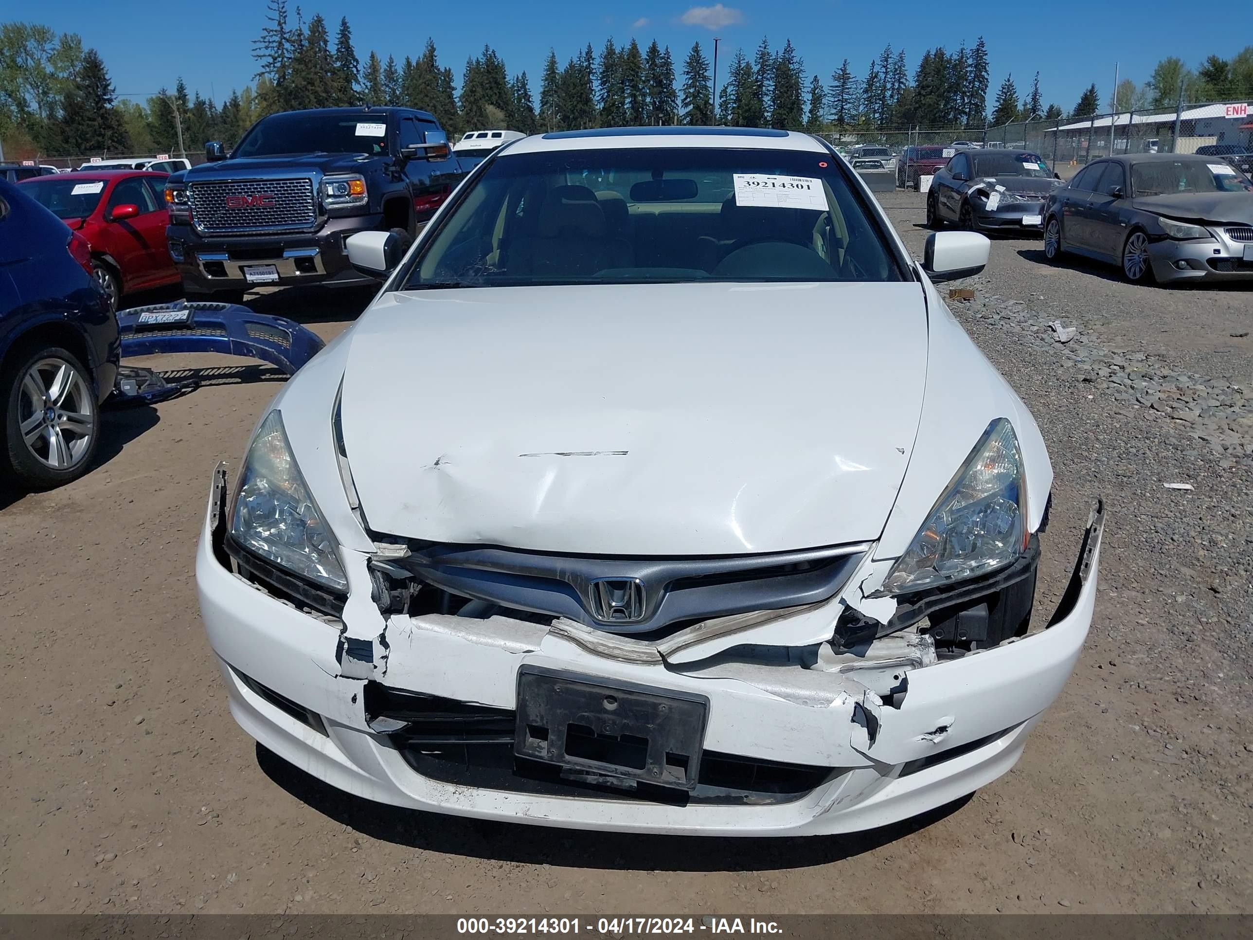 Photo 11 VIN: 1HGCM82637A000954 - HONDA ACCORD 