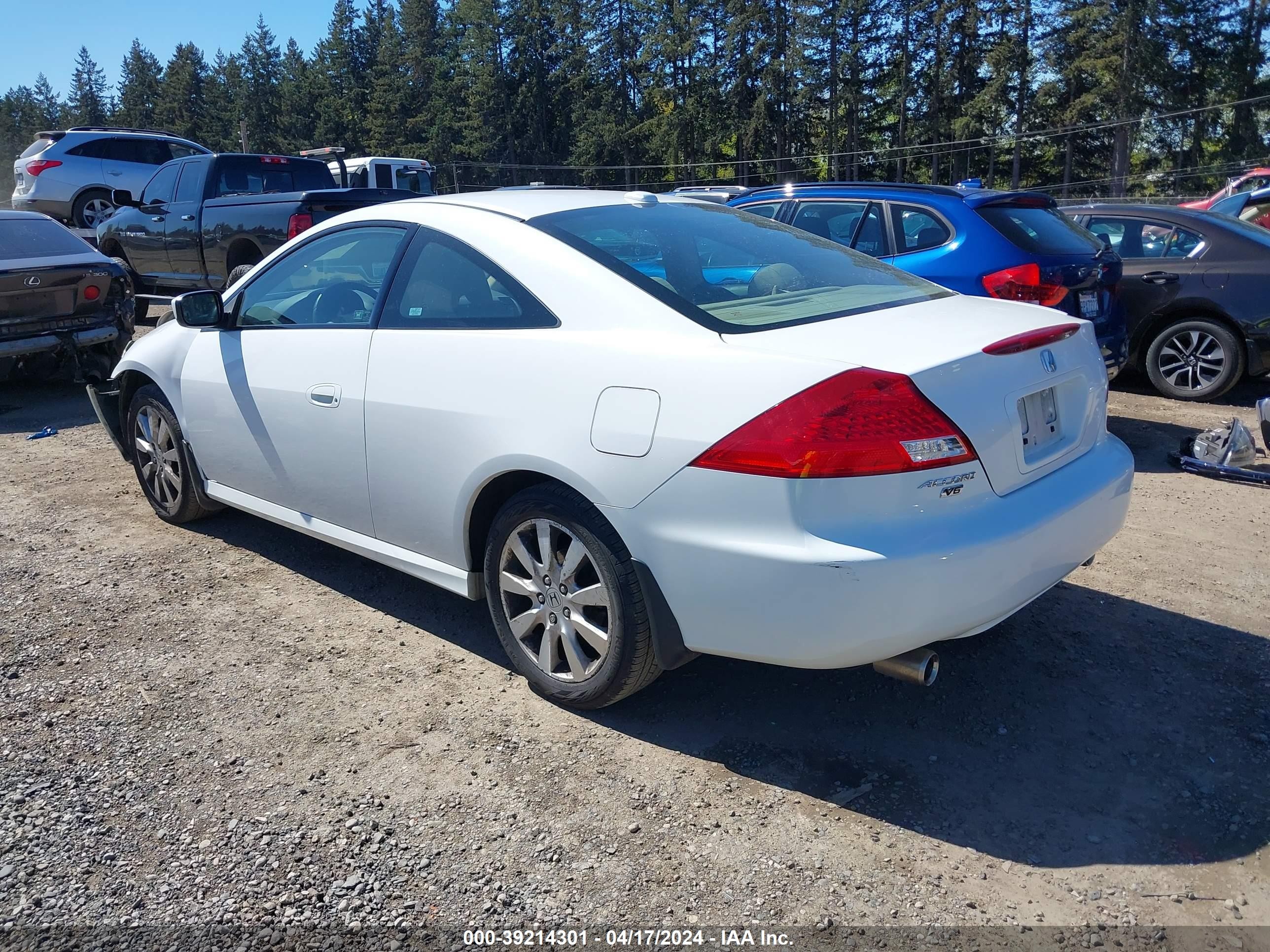 Photo 2 VIN: 1HGCM82637A000954 - HONDA ACCORD 