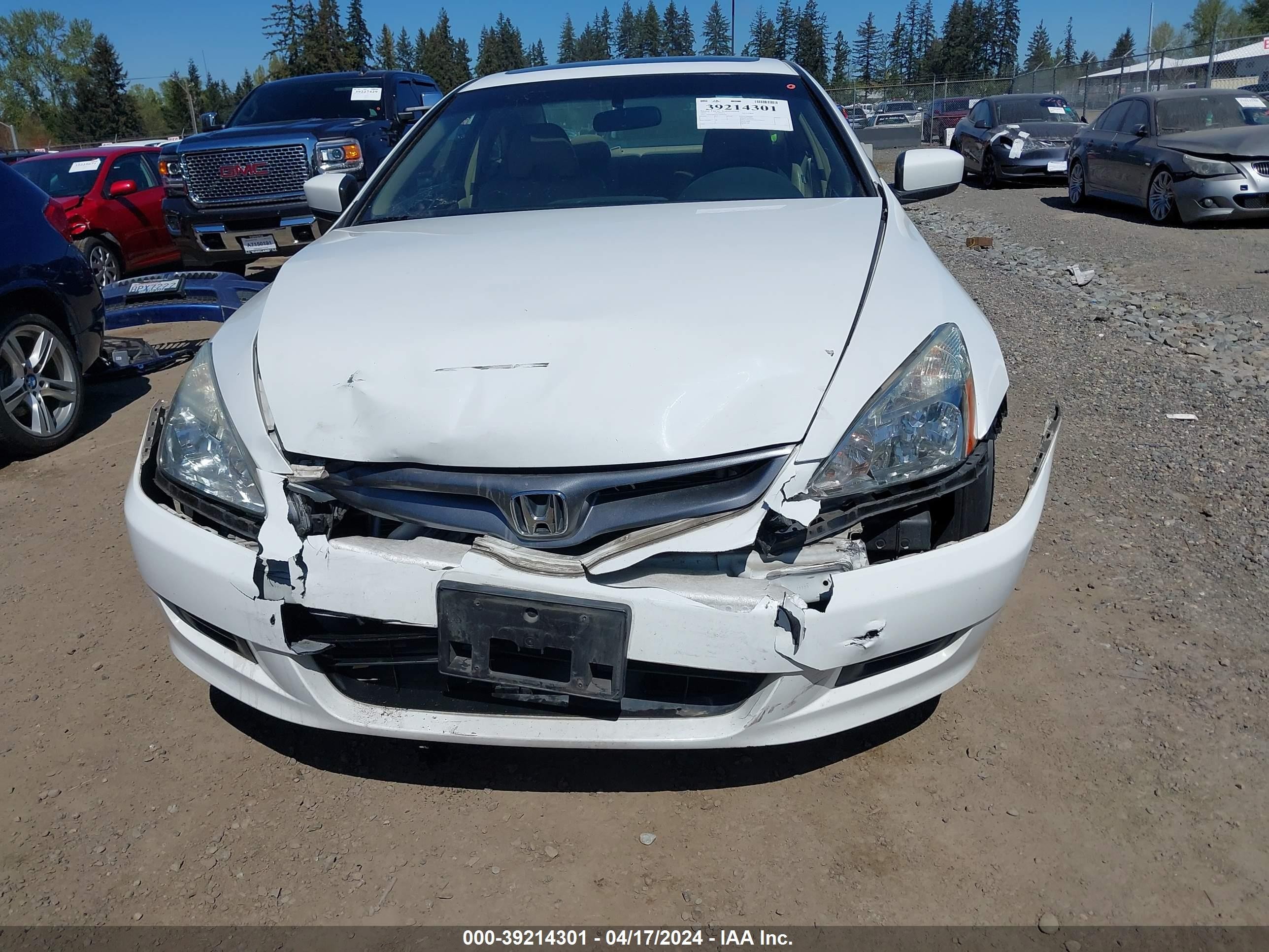 Photo 5 VIN: 1HGCM82637A000954 - HONDA ACCORD 