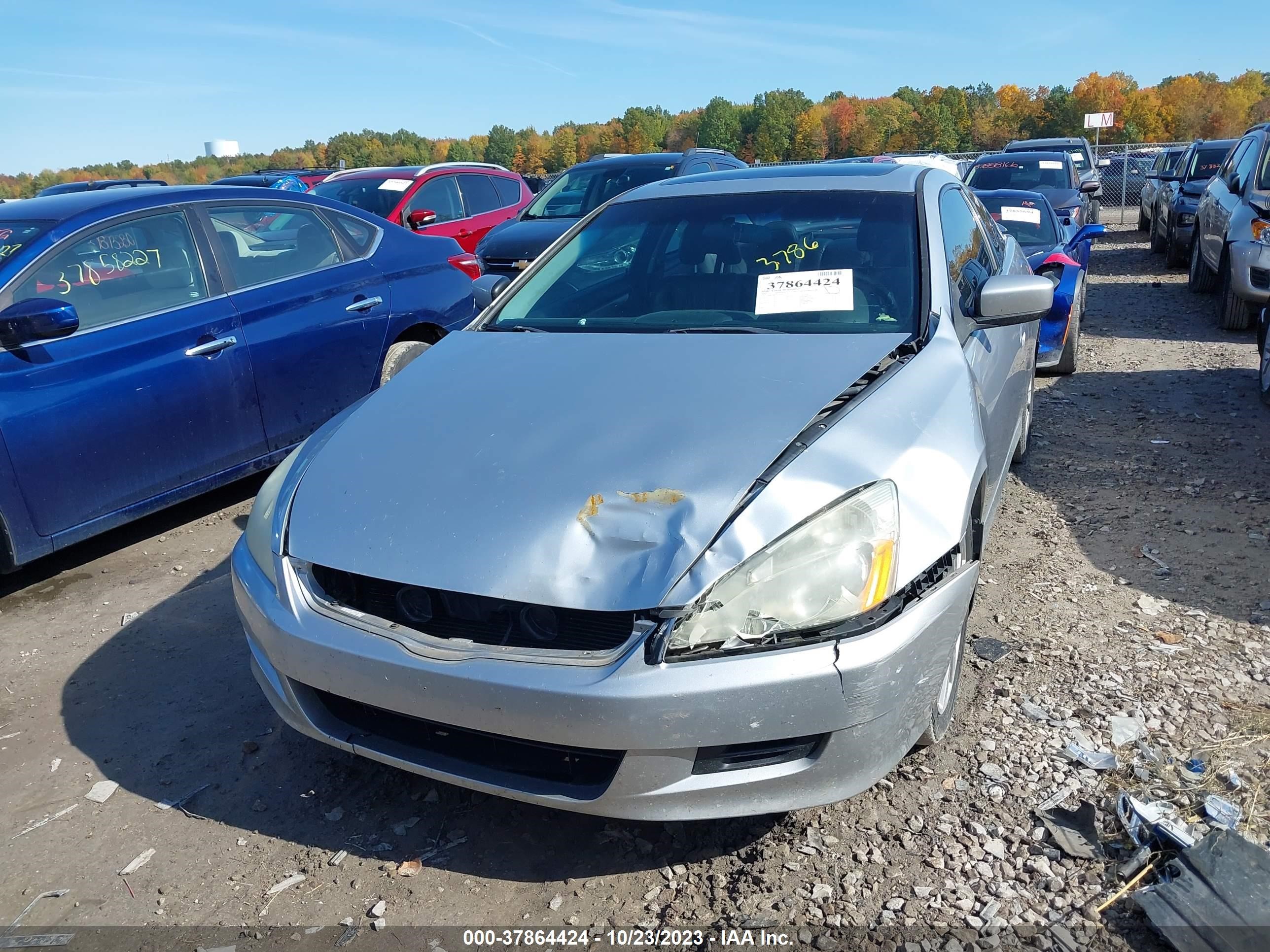 Photo 11 VIN: 1HGCM82697A005771 - HONDA ACCORD 