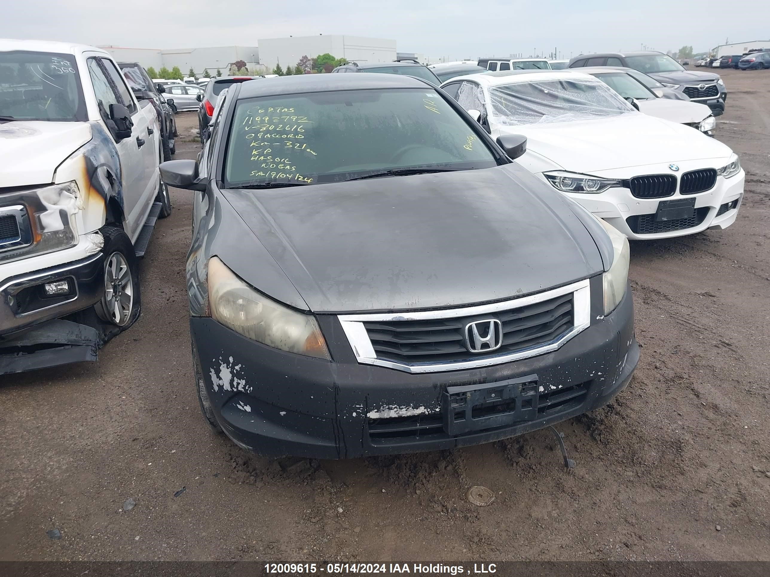 Photo 1 VIN: 1HGCP26369A802616 - HONDA ACCORD 