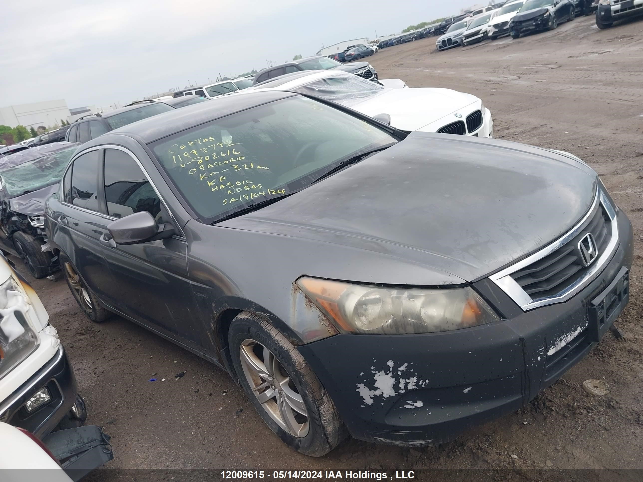 Photo 14 VIN: 1HGCP26369A802616 - HONDA ACCORD 