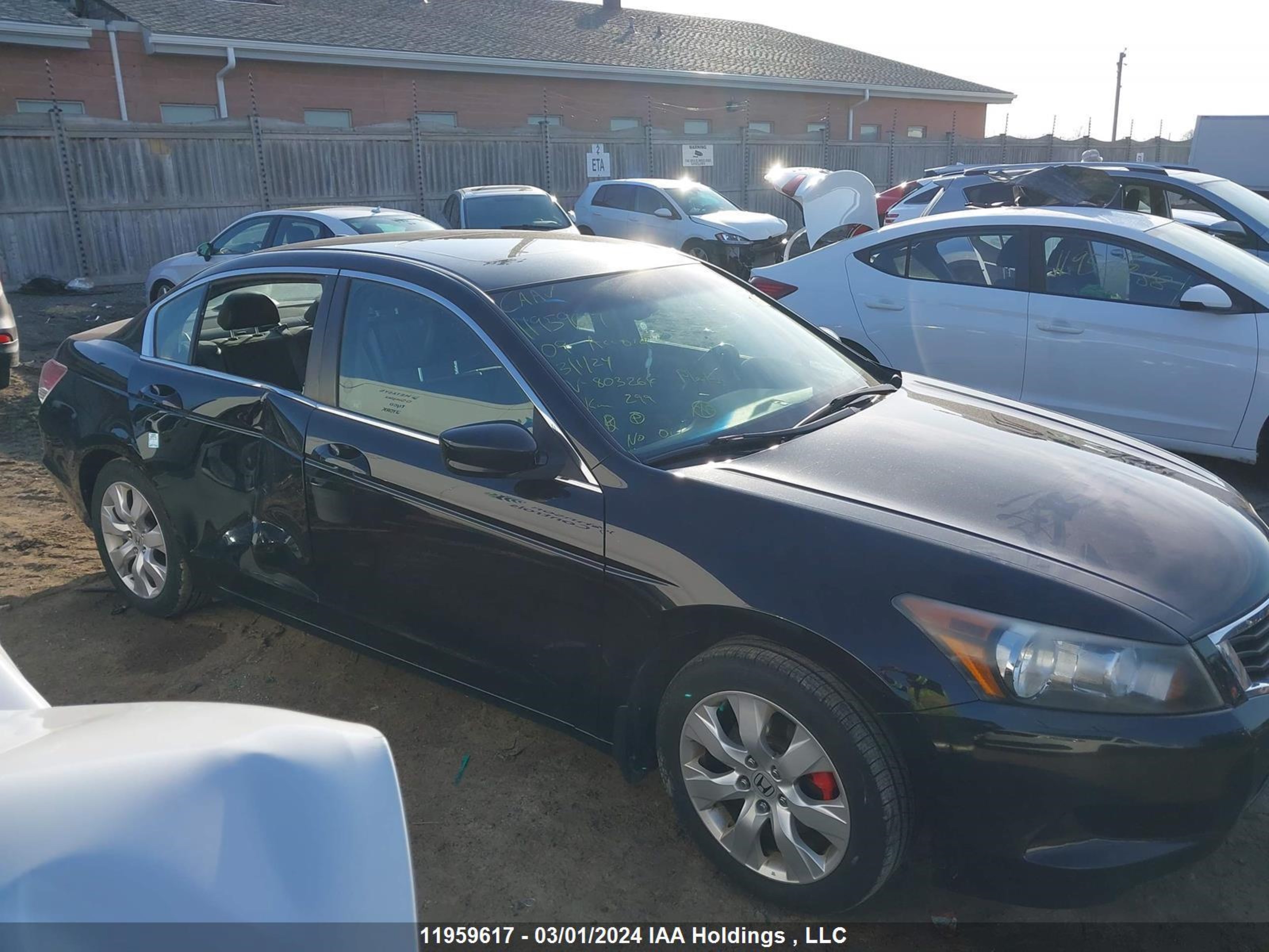 Photo 12 VIN: 1HGCP26819A803264 - HONDA ACCORD 