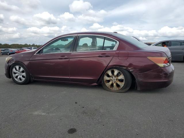 Photo 1 VIN: 1HGCP26858A009253 - HONDA ACCORD EXL 