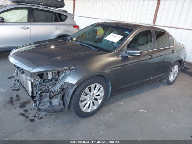 Photo 1 VIN: 1HGCP2F36AA123675 - HONDA ACCORD SDN 