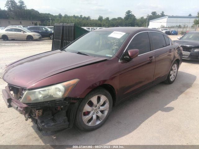 Photo 1 VIN: 1HGCP2F38AA137707 - HONDA ACCORD 