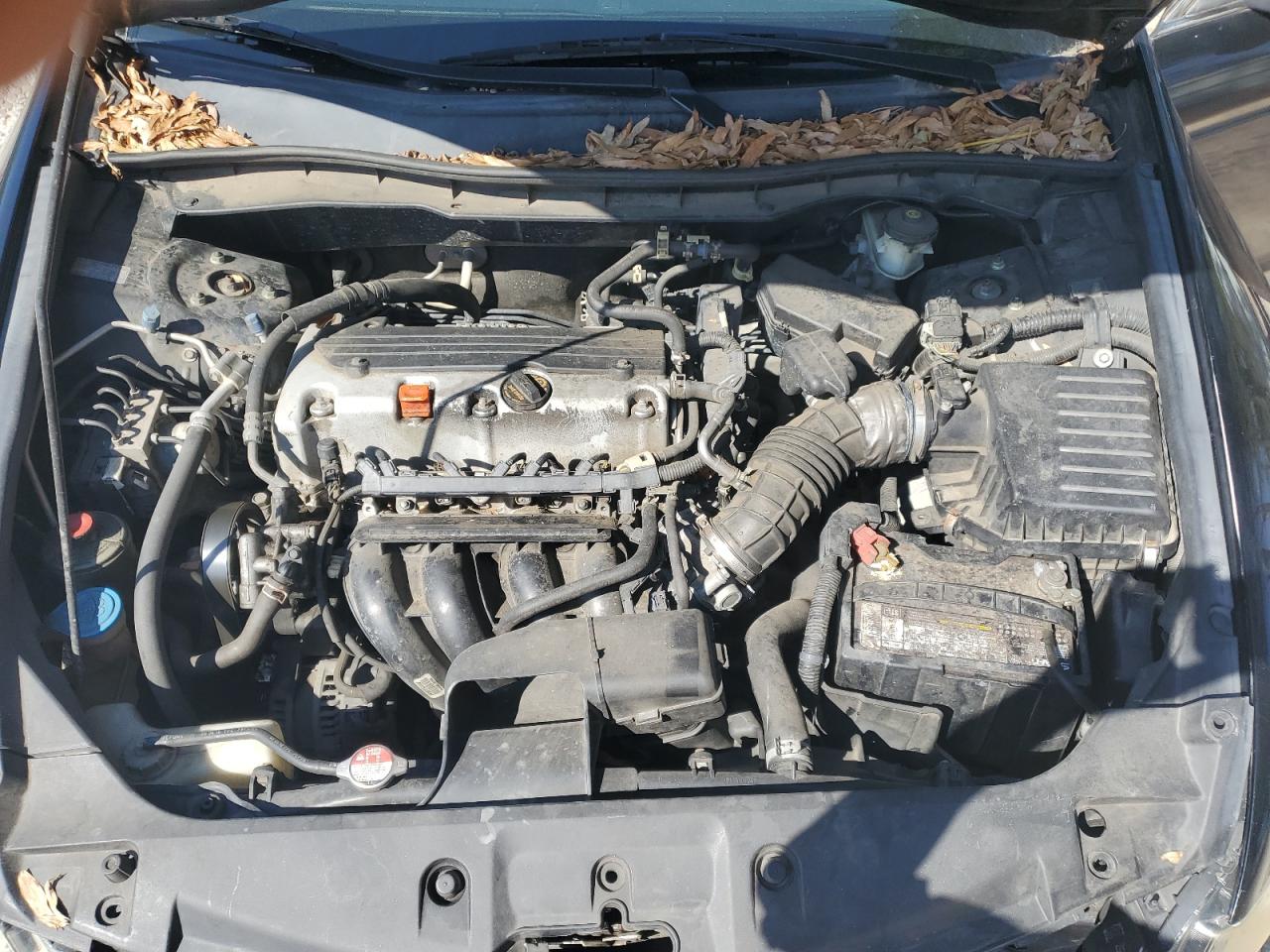 Photo 10 VIN: 1HGCP2F3XBA036203 - HONDA ACCORD 