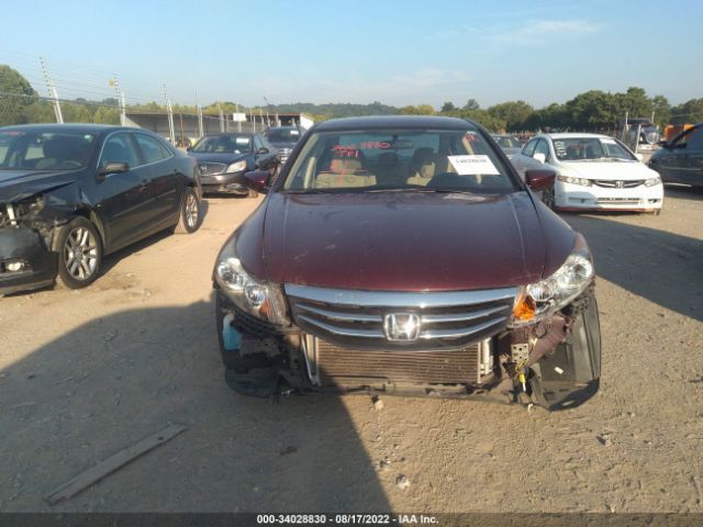 Photo 5 VIN: 1HGCP2F42BA003446 - HONDA ACCORD SDN 