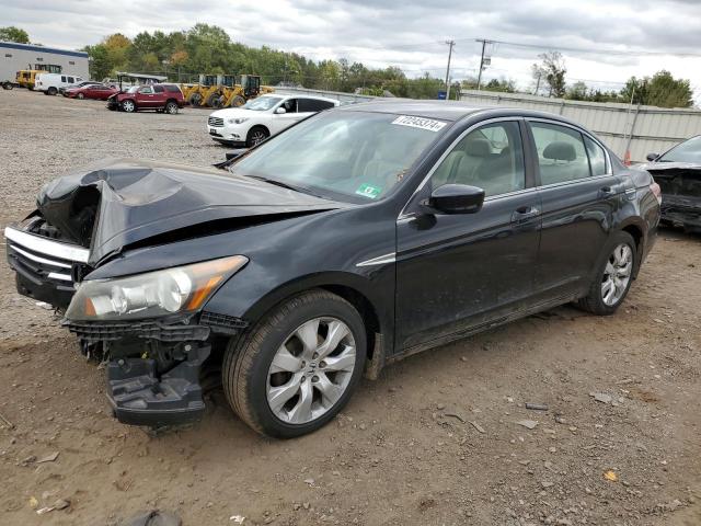 Photo 0 VIN: 1HGCP2F61CA122558 - HONDA ACCORD SE 