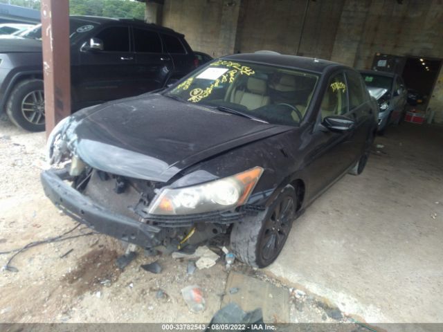 Photo 1 VIN: 1HGCP2F64CA036029 - HONDA ACCORD SDN 