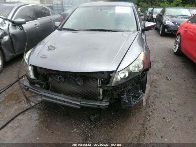 Photo 5 VIN: 1HGCP2F66CA003002 - HONDA ACCORD 