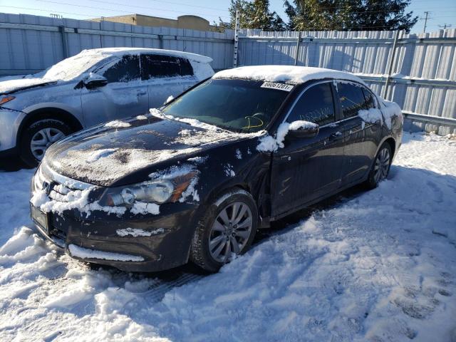 Photo 1 VIN: 1HGCP2F70CA801021 - HONDA ACCORD EX 