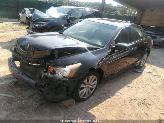 Photo 1 VIN: 1HGCP2F75BA031185 - HONDA ACCORD SDN 