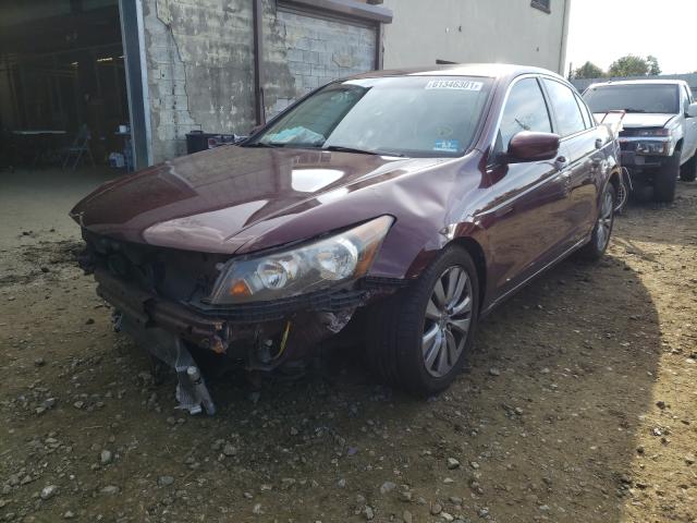 Photo 1 VIN: 1HGCP2F78BA144094 - HONDA ACCORD EX 