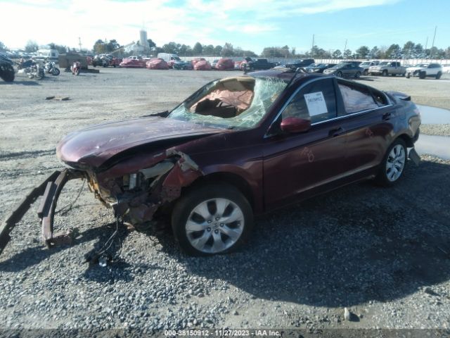 Photo 1 VIN: 1HGCP2F7XAA059546 - HONDA ACCORD 